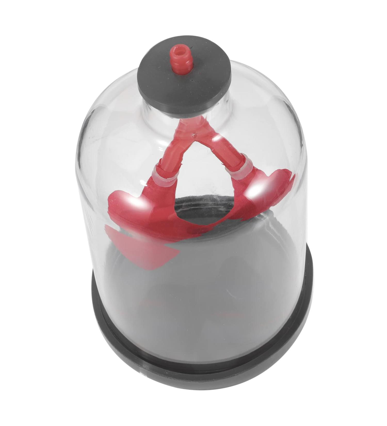 Healifty Lung Breathing Model - Sports & Work Teaching Aid | Plastic & Rubber - Buy Online on GoSupps.com