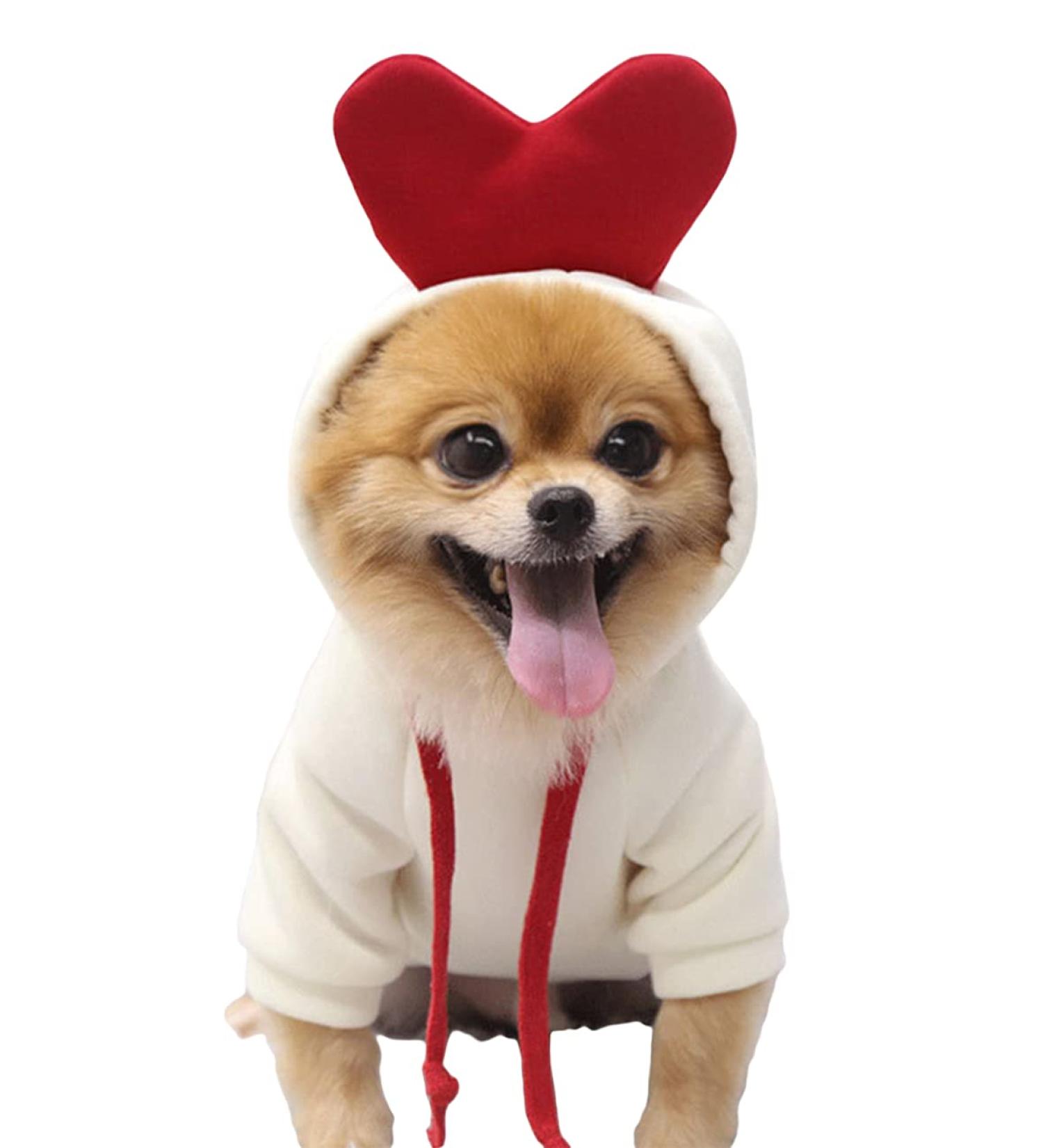 Buy Xiaoyu Pet Clothing - Warm Dog Hoodies & Sweatshirts for Autumn Winter - Cute Fruit Hood & Love Design - XL Blue - Buy Online on GoSupps.com