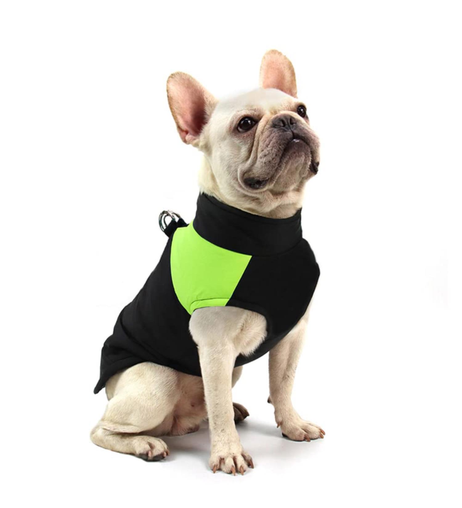 Femax Waterproof Dog Coat - Warm Winter Jacket for Small Medium & Large Dogs | Padded Vest for Cold Weather | Green L (42cm Chest 35cm Back) - Buy Online on GoSupps.com