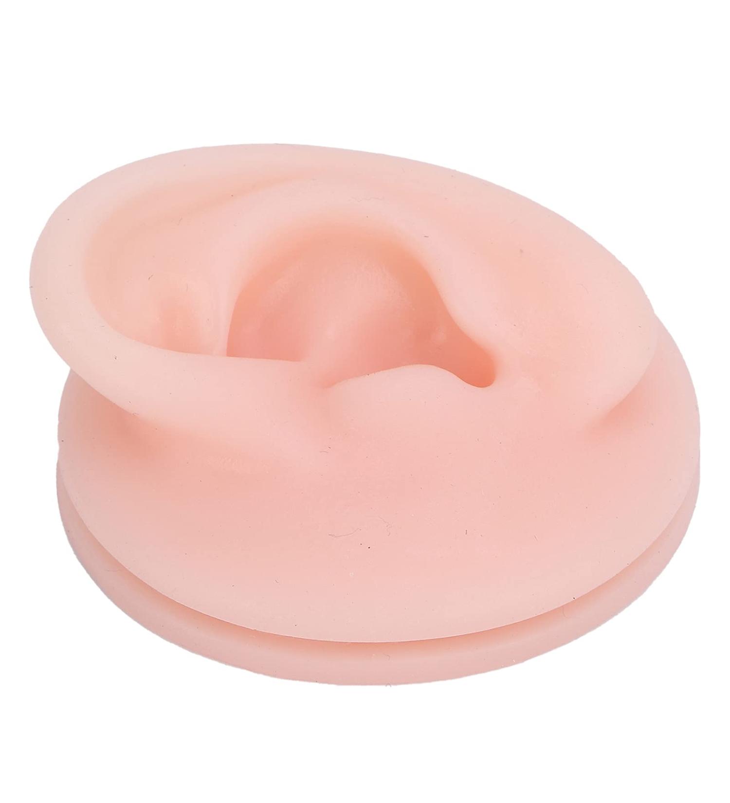 Brrnoo Human Ear Model - Professional Silicone Fake Ear for Acupuncture Teaching & Display (Left Ear) - Ideal for Educators & Students - Buy Online on GoSupps.com