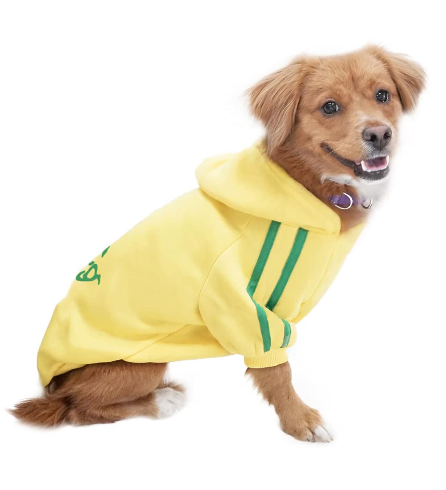 Eastlion Dog Sweater - Warm Yellow Puppy T-Shirt & Pullover Coat for Small Dogs | XS Size Pet Apparel - Buy Online on GoSupps.com