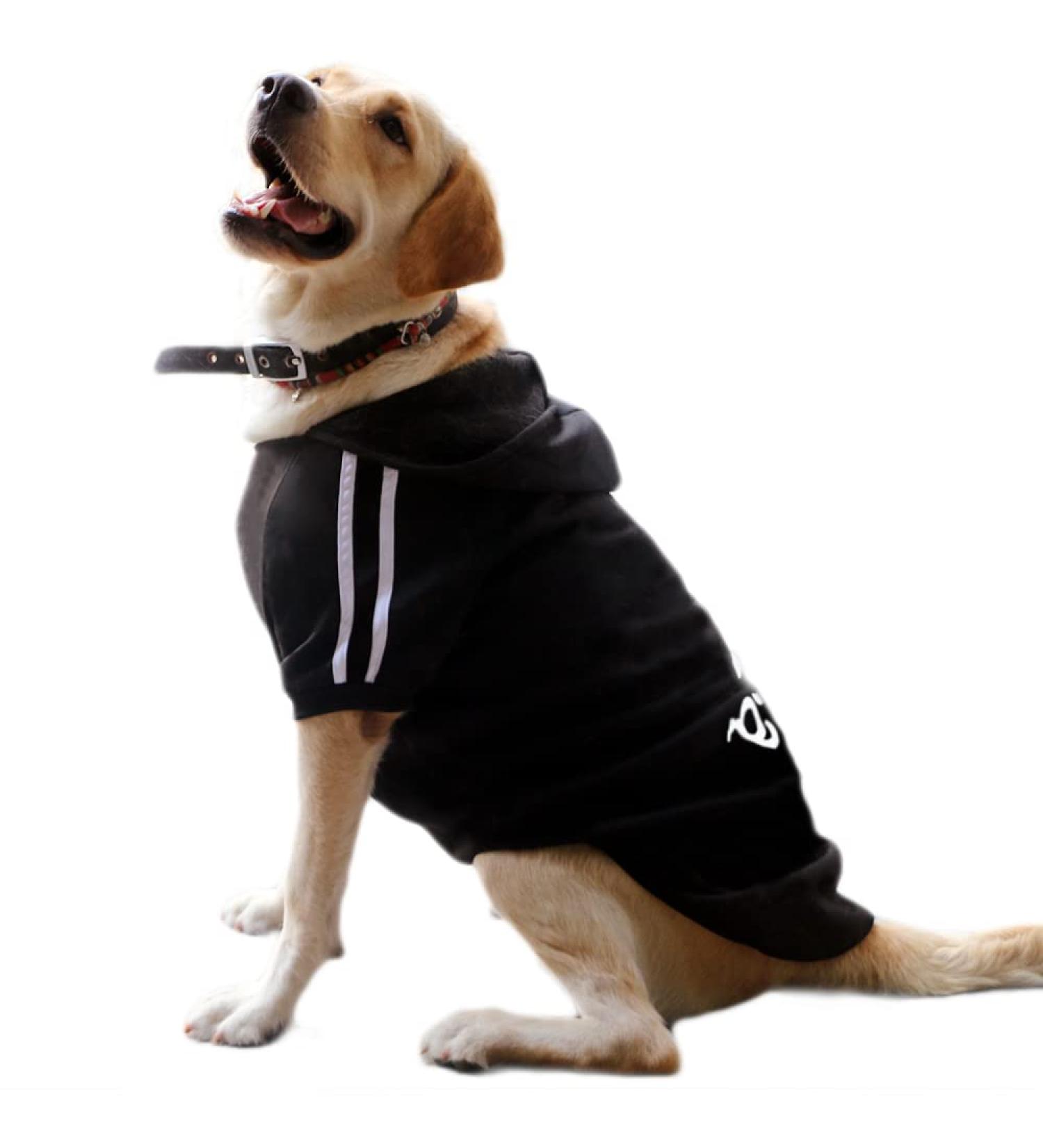 Eastlion 6XL Dog Warm Hoodie Coat - Black Sweater for Pets & Puppies | Stylish Dog Clothing - Buy Online on GoSupps.com