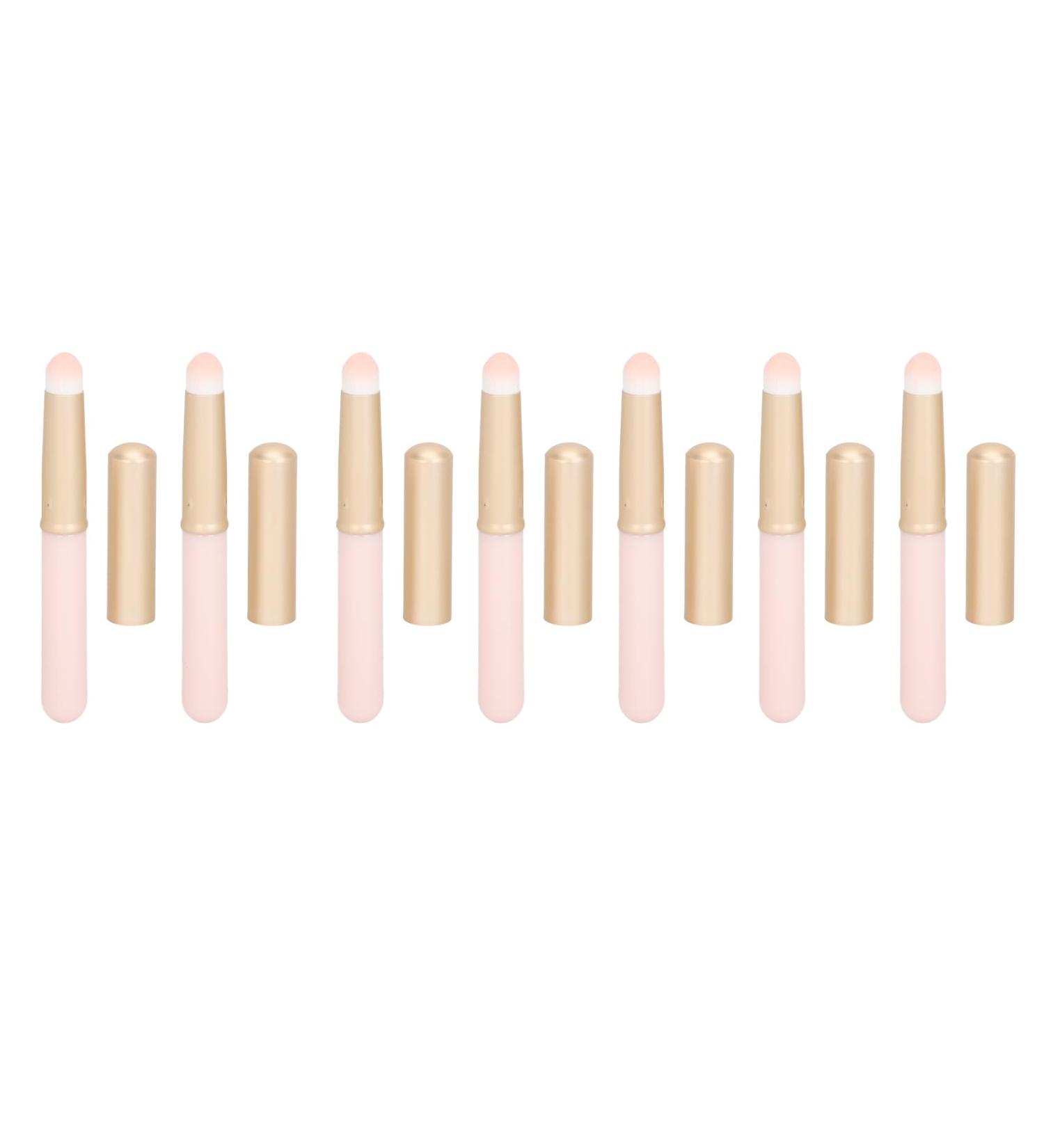 Lip Makeup Brush Round Head Pink Handle Lip Brush Cover Daily Use - Buy Online on GoSupps.com