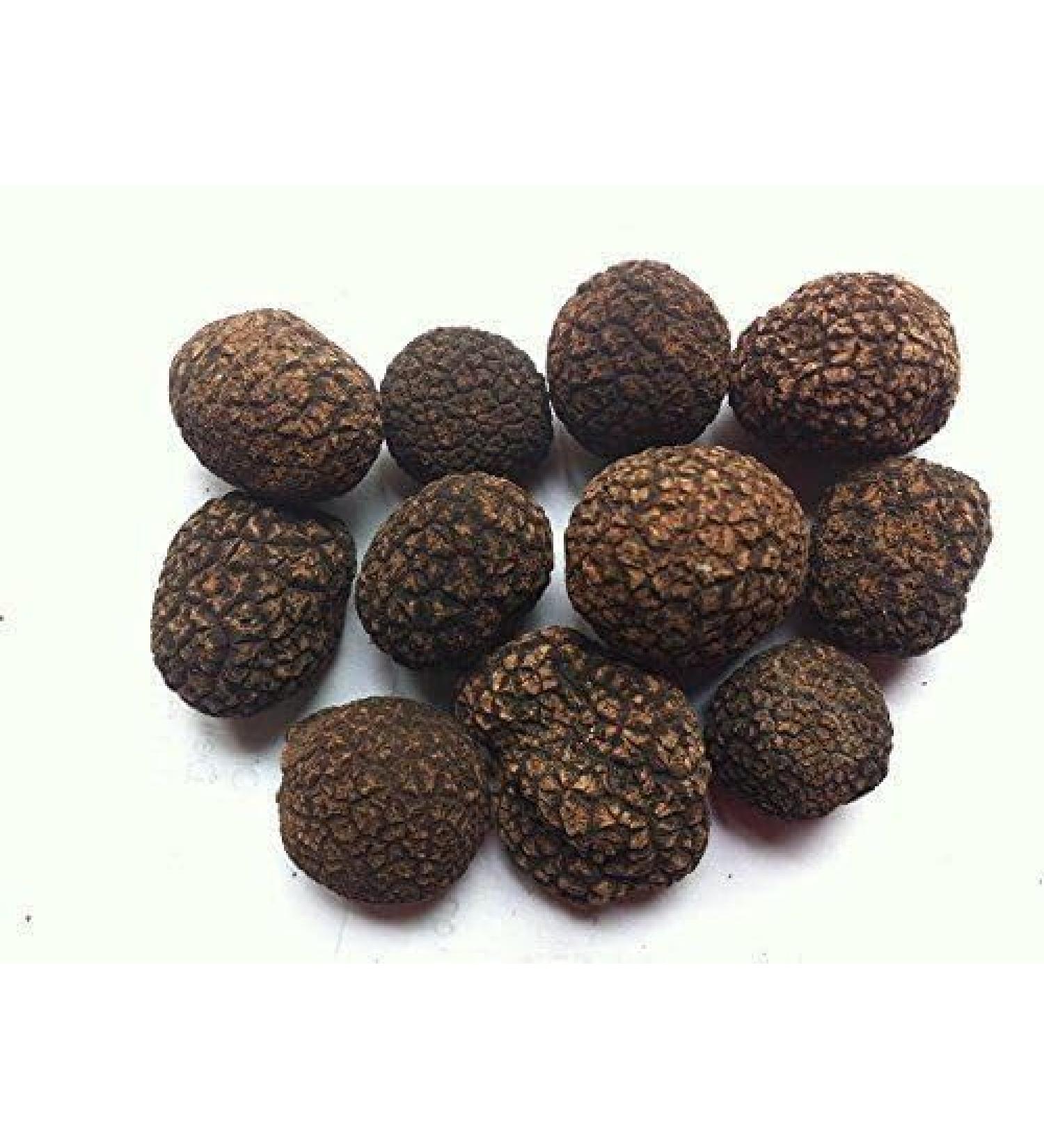 WENXUANSU:Famous Himalayas Black Whole Truffle dried in Jar 6 ounce (170 grams) - Buy Online on GoSupps.com