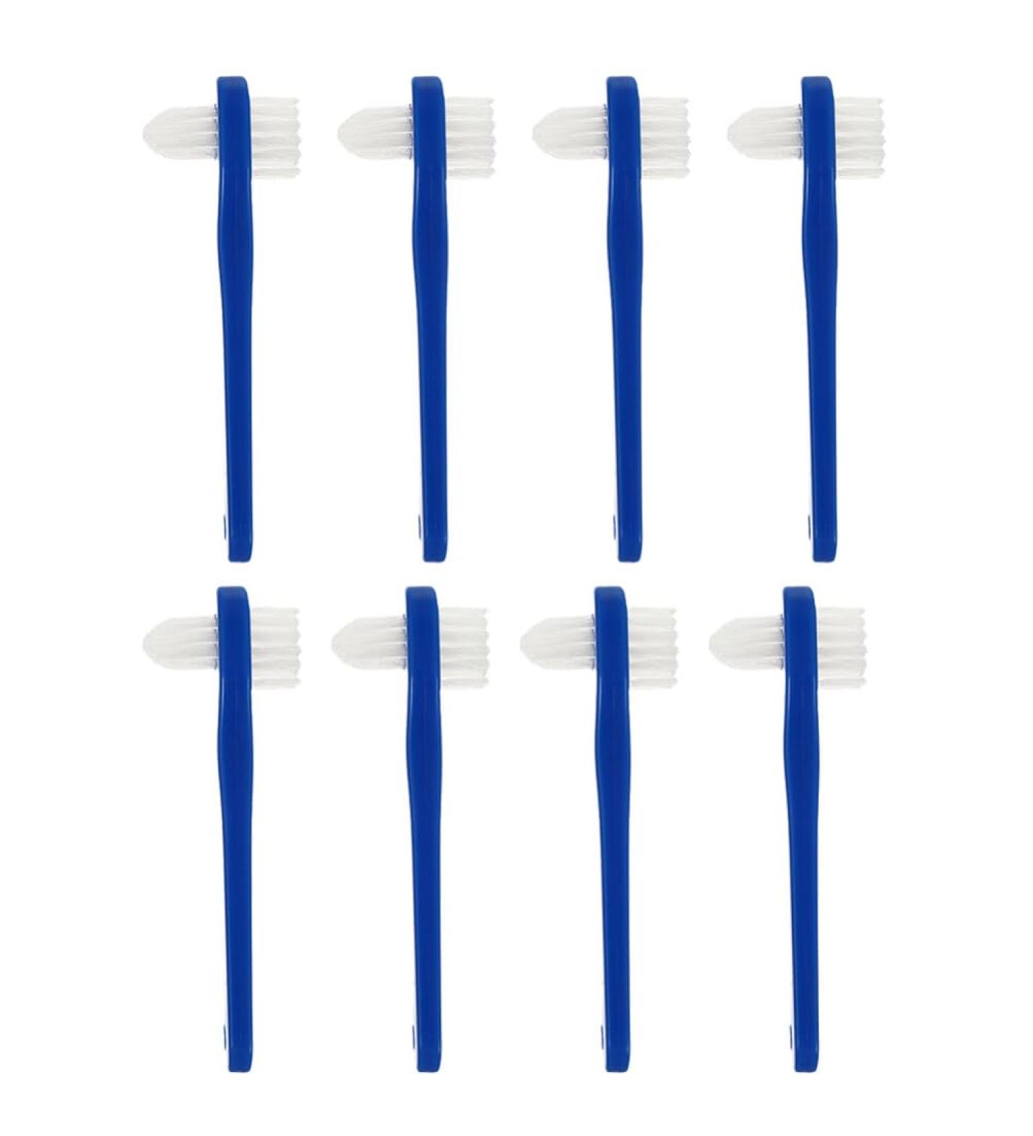 Buy Healvian 8-Piece Prosthesis Cleaning Brush Set | T-Shaped Brush for Hygienic Prosthesis Care | Hard Head Brushes for Effective Cleaning - Buy Online on GoSupps.com