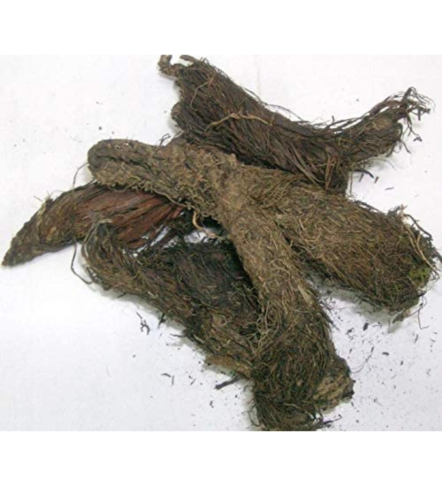 TRH Jatamasi - Spikenard Musk Root Nardostachys Balchad 100gm - Pure and Natural - Buy Online on GoSupps.com