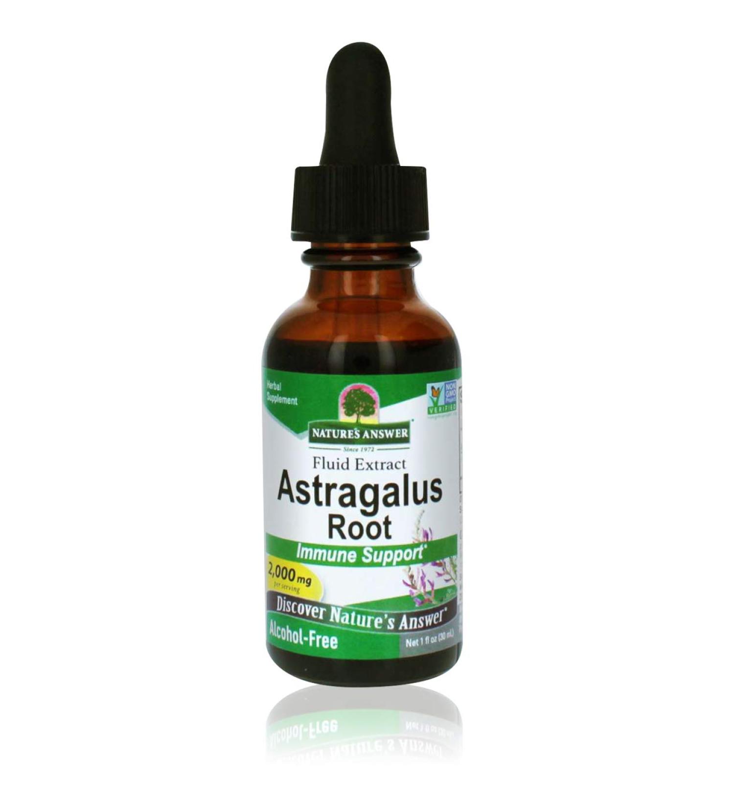 Nature's Answer Astragalus Root Alcohol Free 1oz (2 Pack) | Immune & Cardiovascular Support | Natural Stress Reliever | Herbal Supplement - Buy Online on GoSupps.com