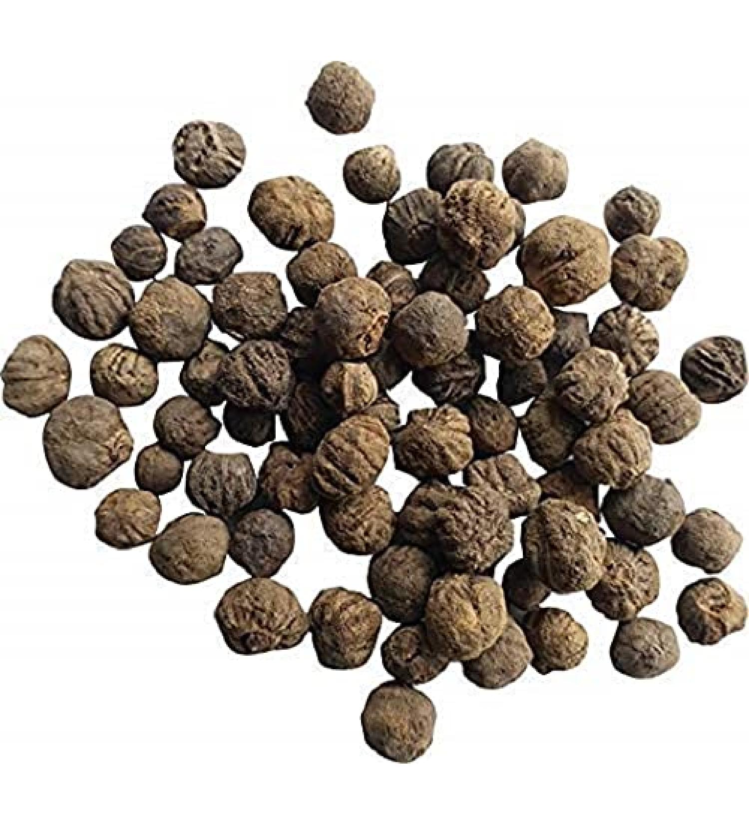 vinarghya Sag ka Bij/Teak Seed/Sagaun/Shak/Tiku/Tega/Tekka/Tectona Grandis/Sagwan/Segun/ 100g