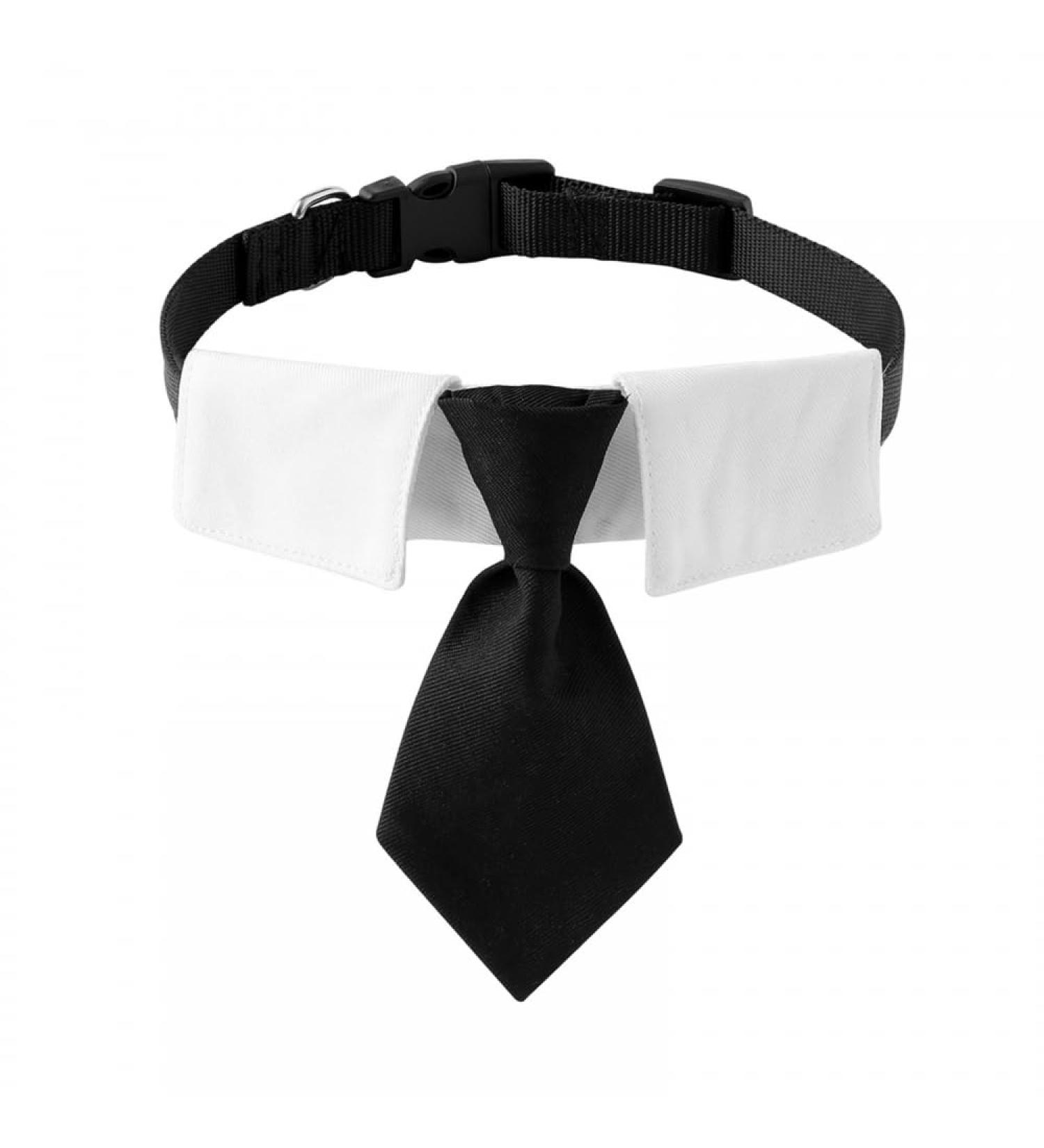 Adjustable Dog Fly Collar & Formal Neckband with Black Tie - Perfect for Large Medium & Small Dogs & Cats | International Shipping - Buy Online on GoSupps.com