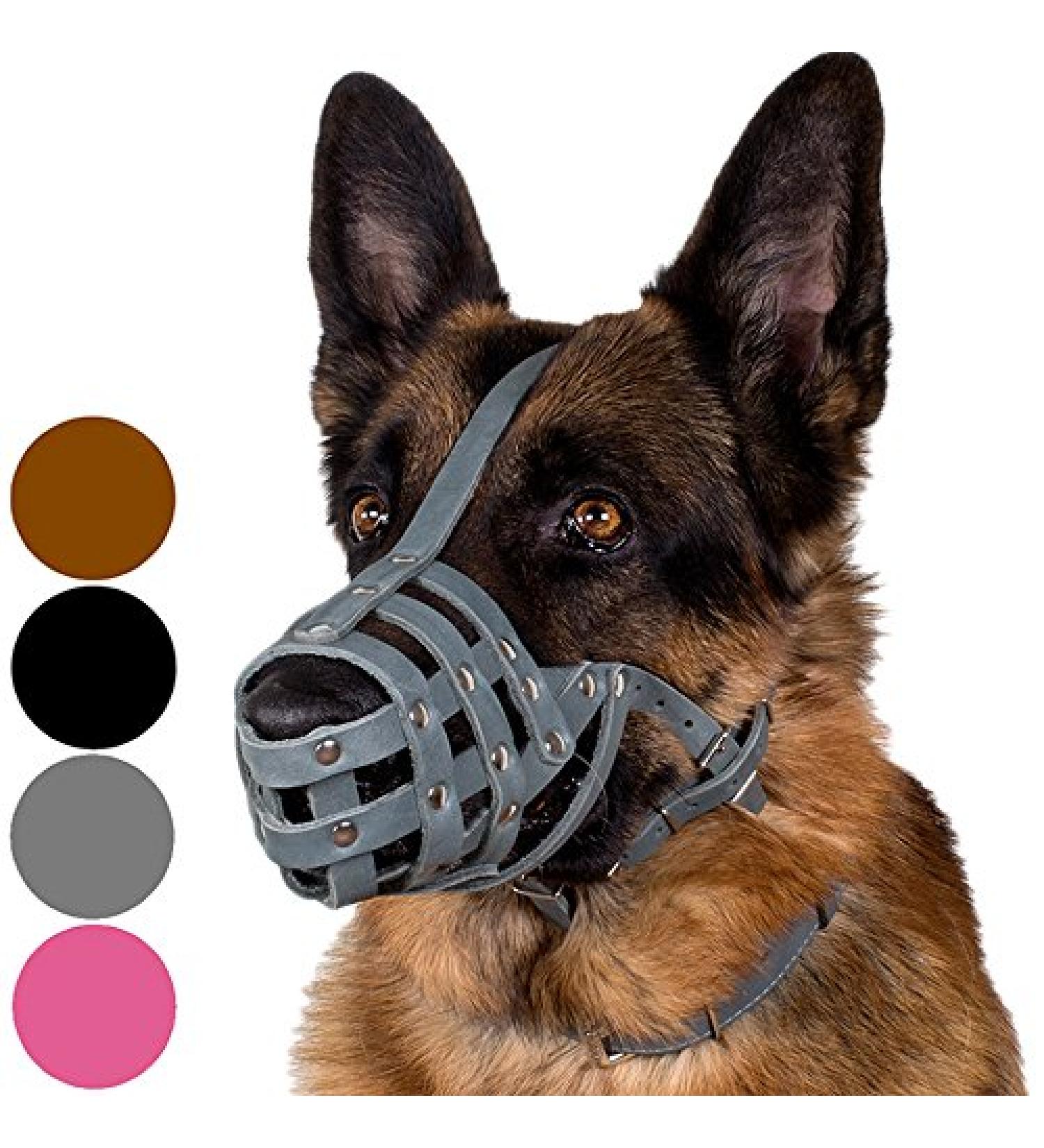 Collardirect Leather Basket Muzzle for Medium to Large Dogs - German Shepherd Dalmatian Doberman | Available in Black Brown Pink Gray - Buy Online on GoSupps.com
