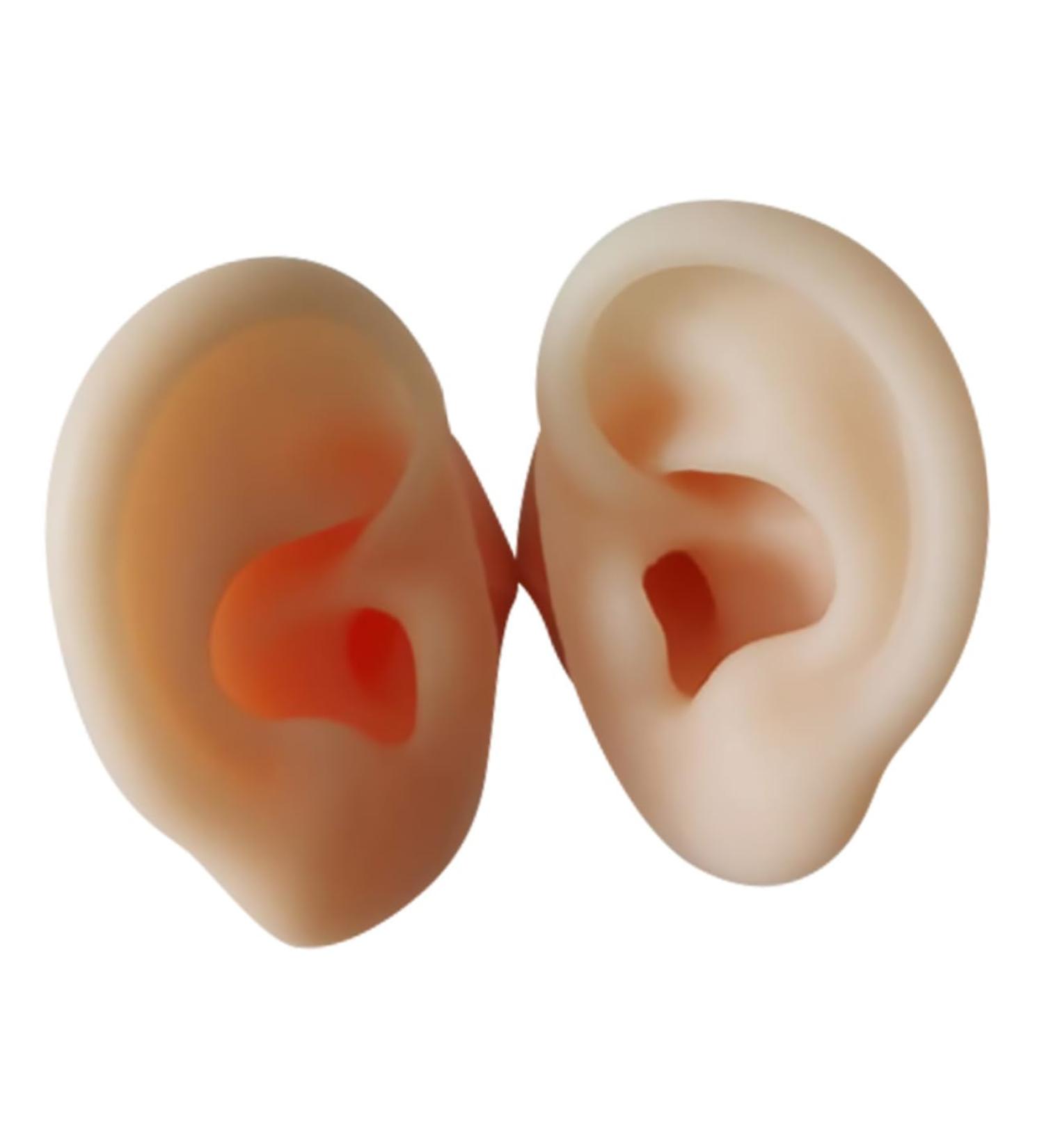 Silicone Ear Models Set - Practice Tools for Ear Picking & Cleaning | Auditory Meatus Display - Buy Online on GoSupps.com