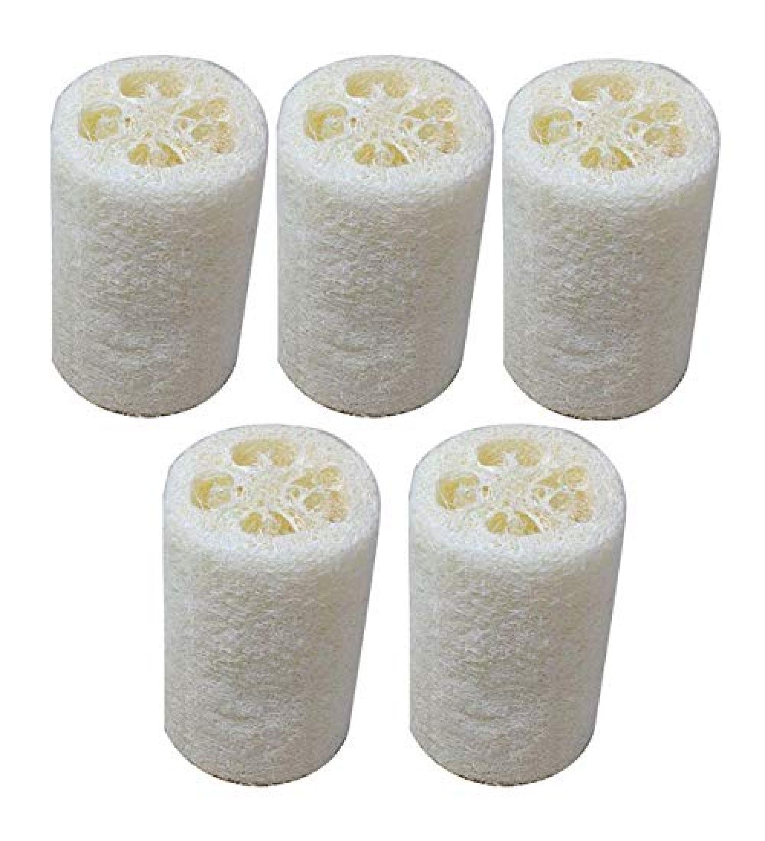 Organic 4 Inch Loofah Sponge 5-Pack for Skin Cleansing and Exfoliation | Bath and Shower Puff Scrubber for Daily Body Care - Buy Online on GoSupps.com