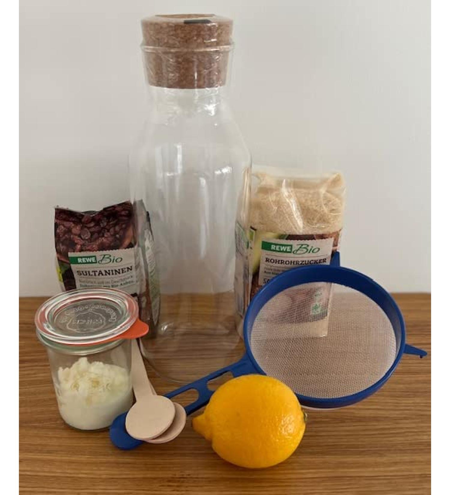 Buy Water Kefir Starter Set - 50g Kefir for Homemade Probiotic Drinks | International Shipping Available - Buy Online on GoSupps.com
