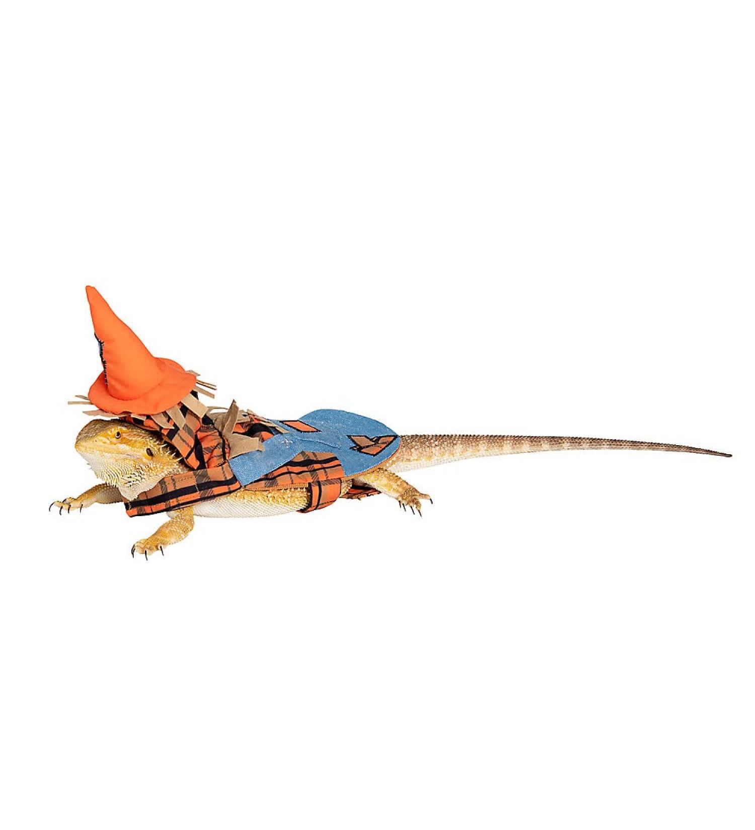 Thrills & Chills Bearded Dragon Reptile Holiday Halloween Costume Clothing Accessory Funny Cute Scarecrow