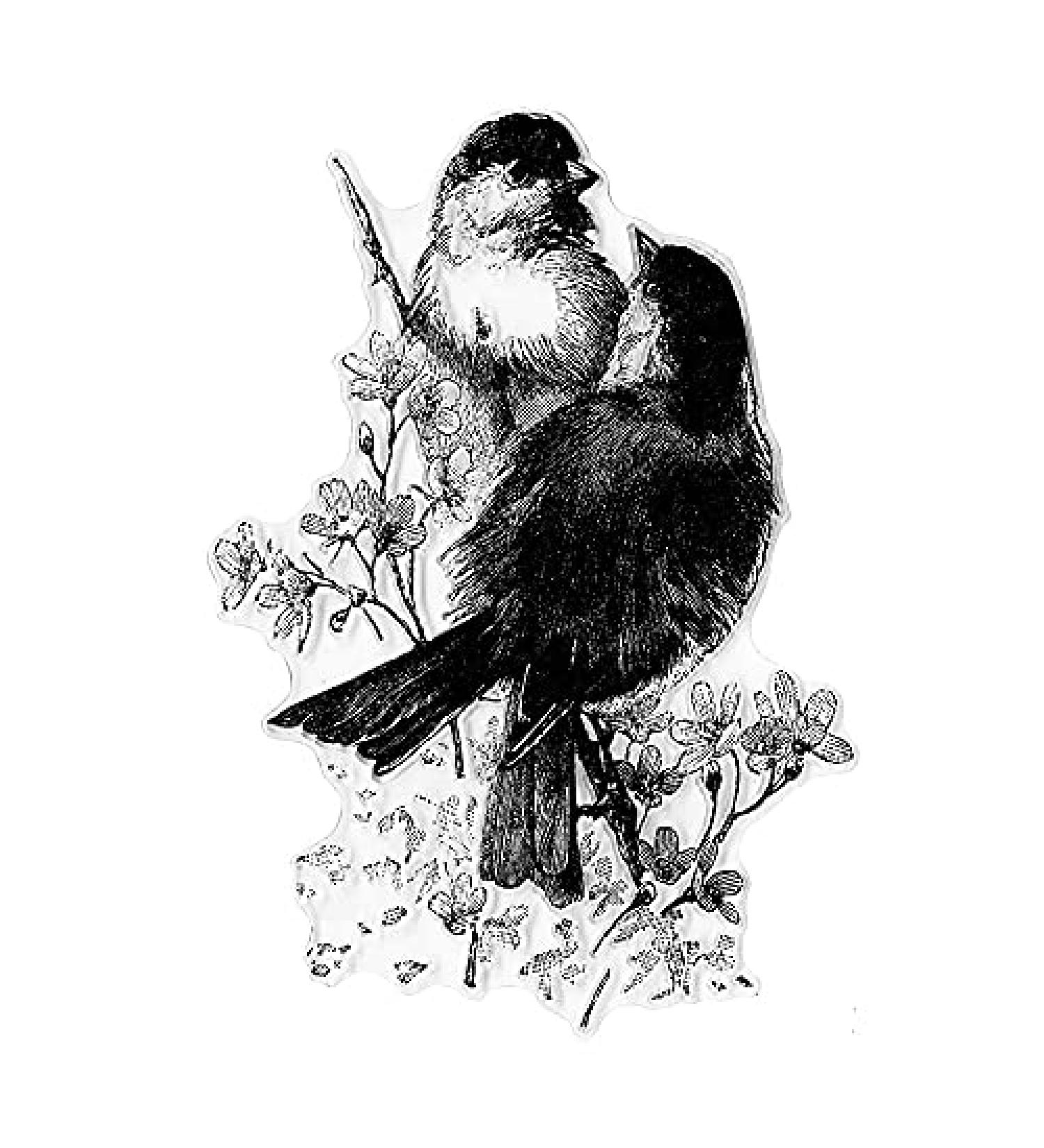 Love Birds on Flowers Clear Stamp Set for Card Making and Scrapbooking - Style1 - Buy Online on GoSupps.com