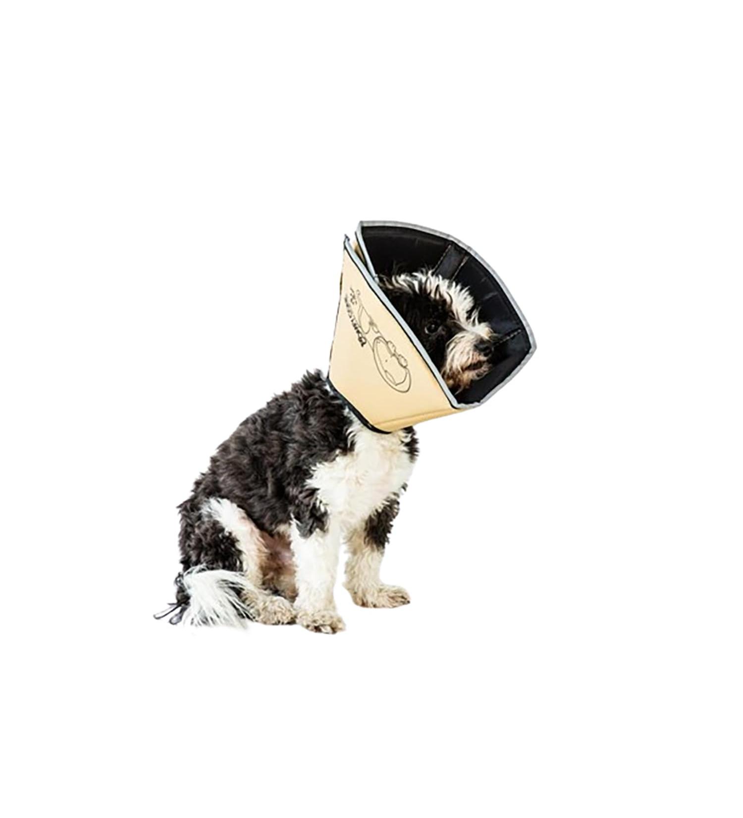 All Four Paws Comfy Cone Pet Collar - Large Nude | International Shipping Available - Buy Online on GoSupps.com