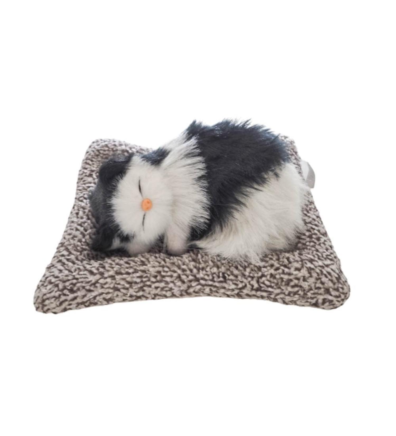 Shop Natural Bamboo Charcoal Bags for Kittens - Effective Car & Room Deodorizer | 100% Natural Odor Remover & Eliminator (Black & White - Buy Online on GoSupps.com