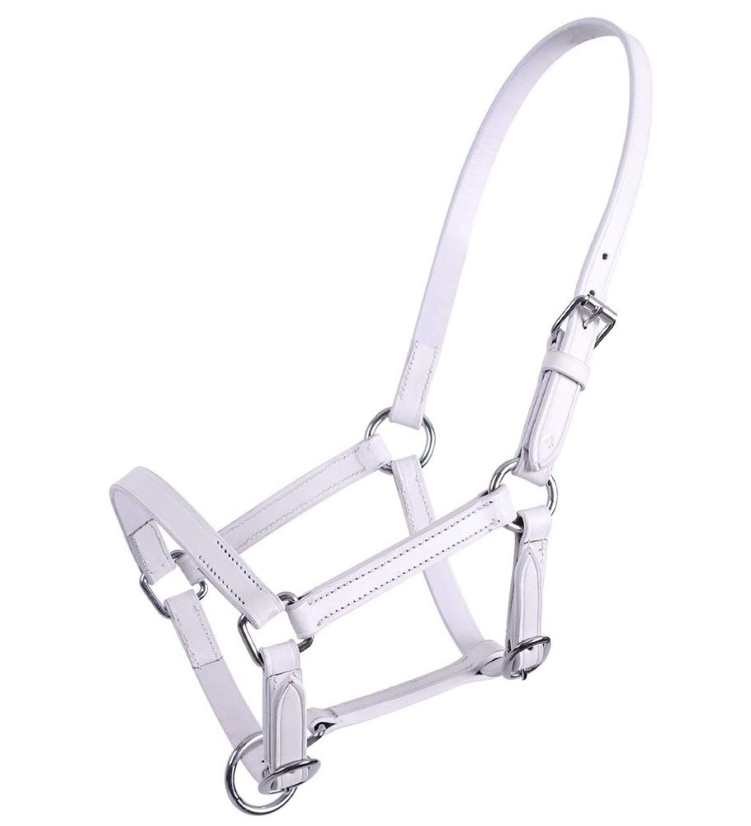 QHP Leather Halter Foal Chico beige + black (Warmblood Foal white) Warmblood Foal White