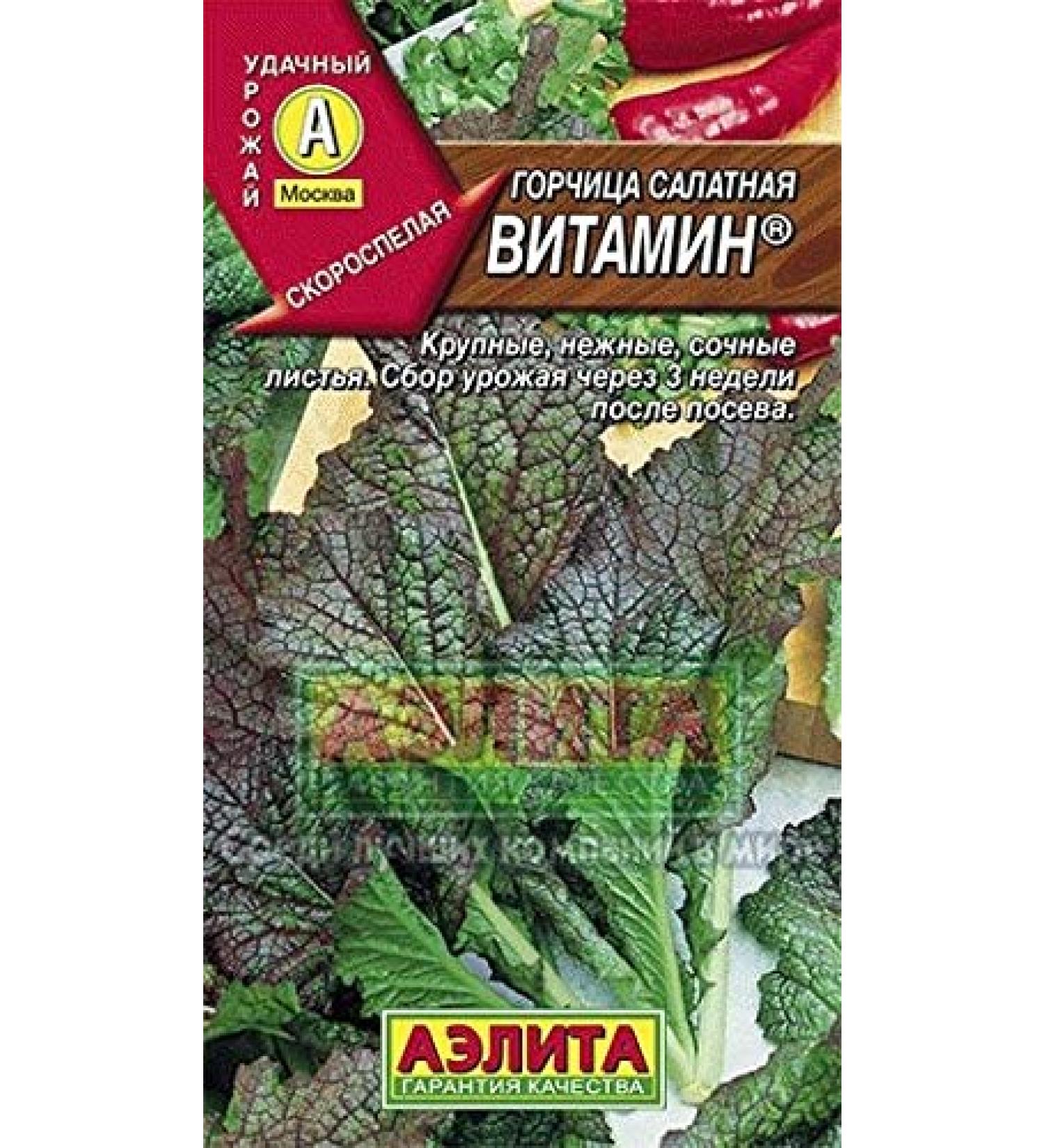 Portal Cool 1 Packet Russian Mustard SeedsVitamin of biologische biologische kwaliteit