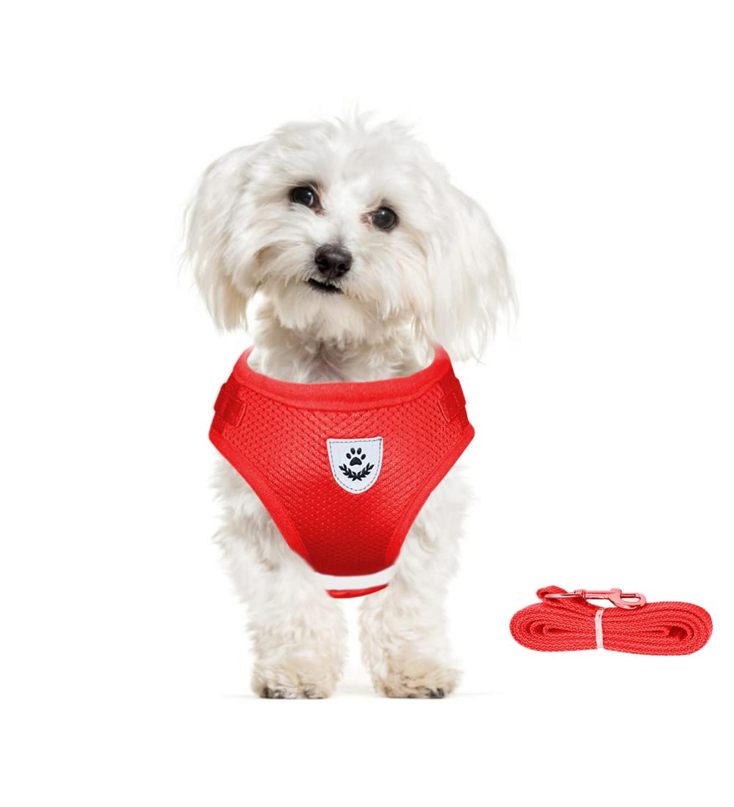 Meioro Adjustable Dog Harness with Leash Soft Padded Vest for Small & Medium Pets Reflective Black with Red Accent (M: 35-40cm) - Buy Online on GoSupps.com