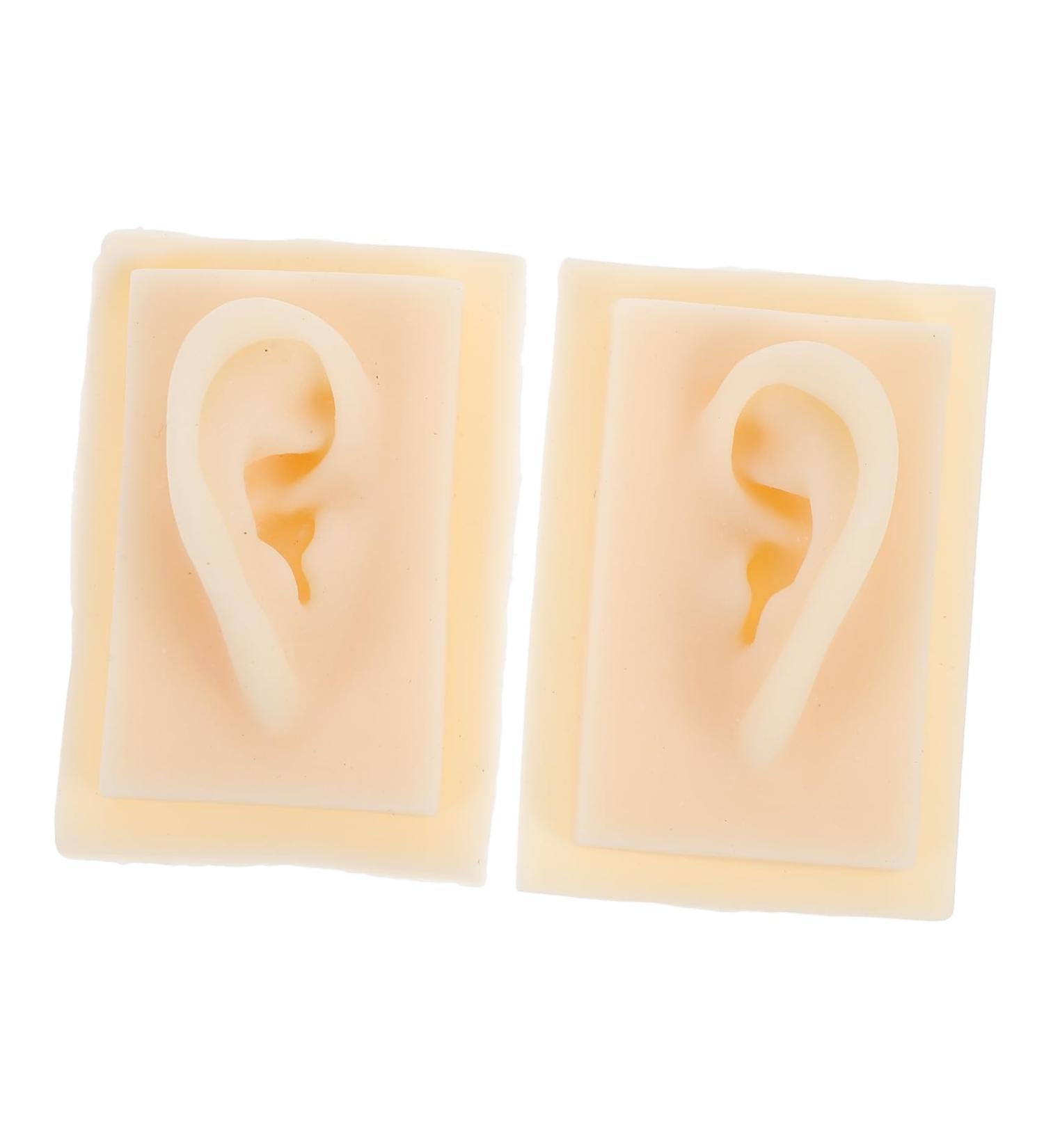 Beavorty Ear Presentation Model - Silicone Ear Mold for Hearing Aid Display & Teaching - International Shipping Available - Buy Online on GoSupps.com