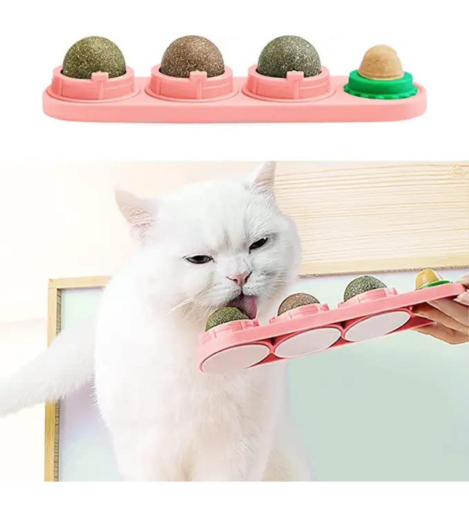 Buy Starroad-Tim Catmint Wallball for Cats | Natural Teeth Cleaning & Eating Toy - International Shipping Available - Buy Online on GoSupps.com