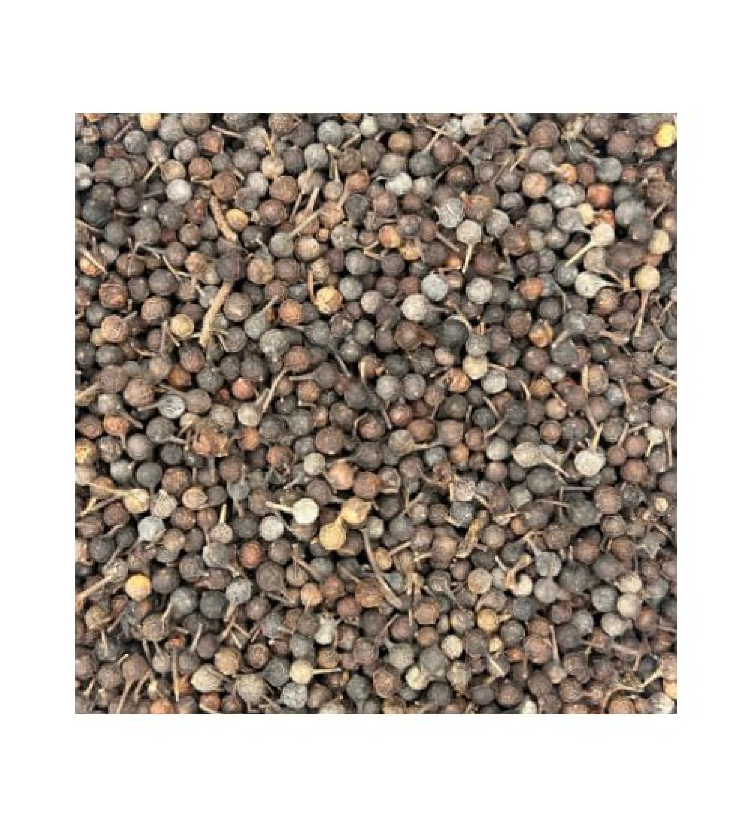 Cubeb Berries Whole (1 LB) - Buy Online on GoSupps.com