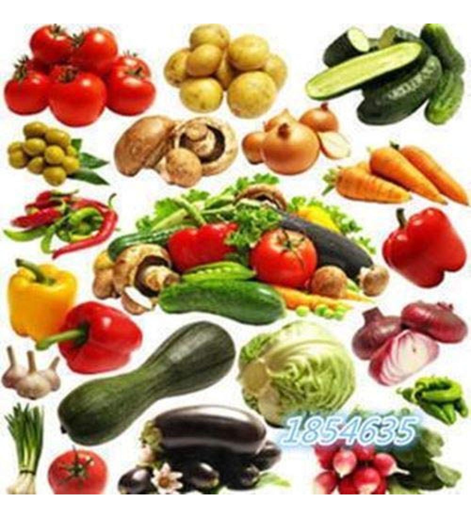 Portal Cool 50Pcscarrota: 50 pc Organico Orto Non OGM Organic Tomato Pepe Zucca Cucu