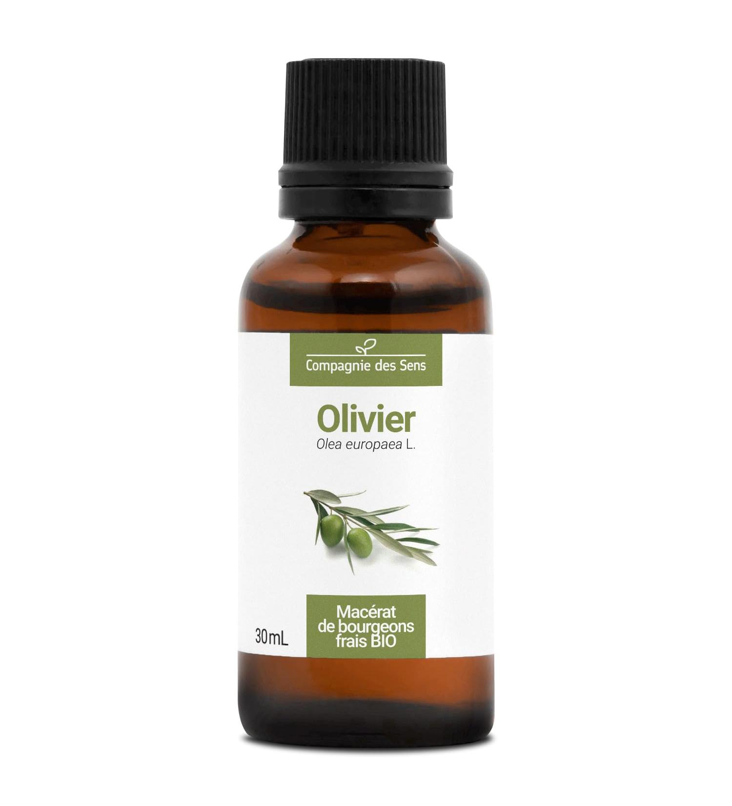Olivier BIO - 30mL - (Olea Europaea) Mac rat concentr de bourgeons frais 30 ml (Lot de 1)