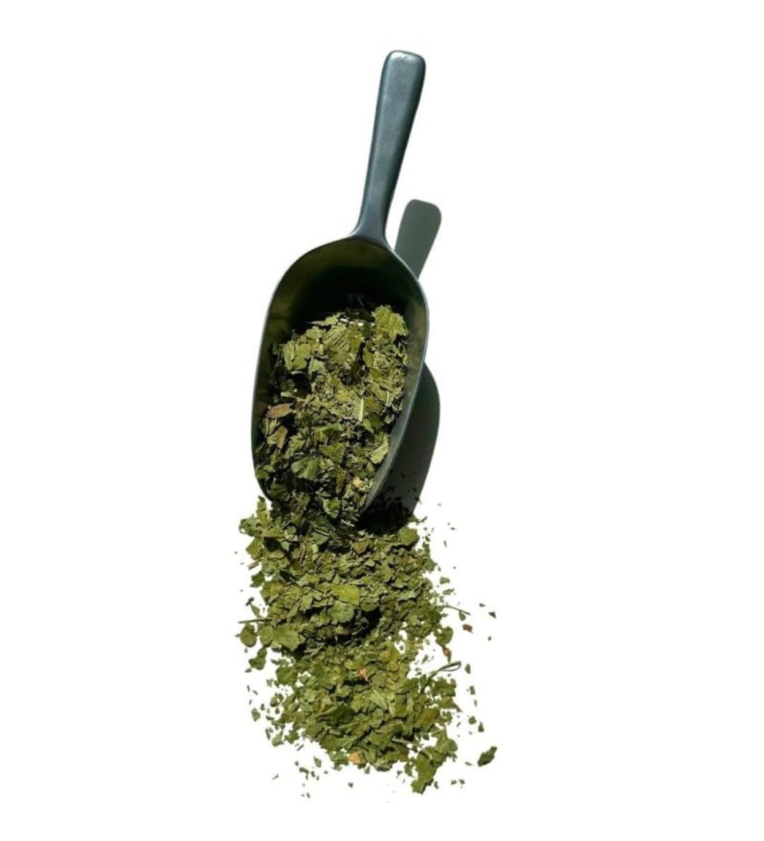 Black currant herbal tea leaf 1 KILO Ribes nigrum. - Buy Online on GoSupps.com