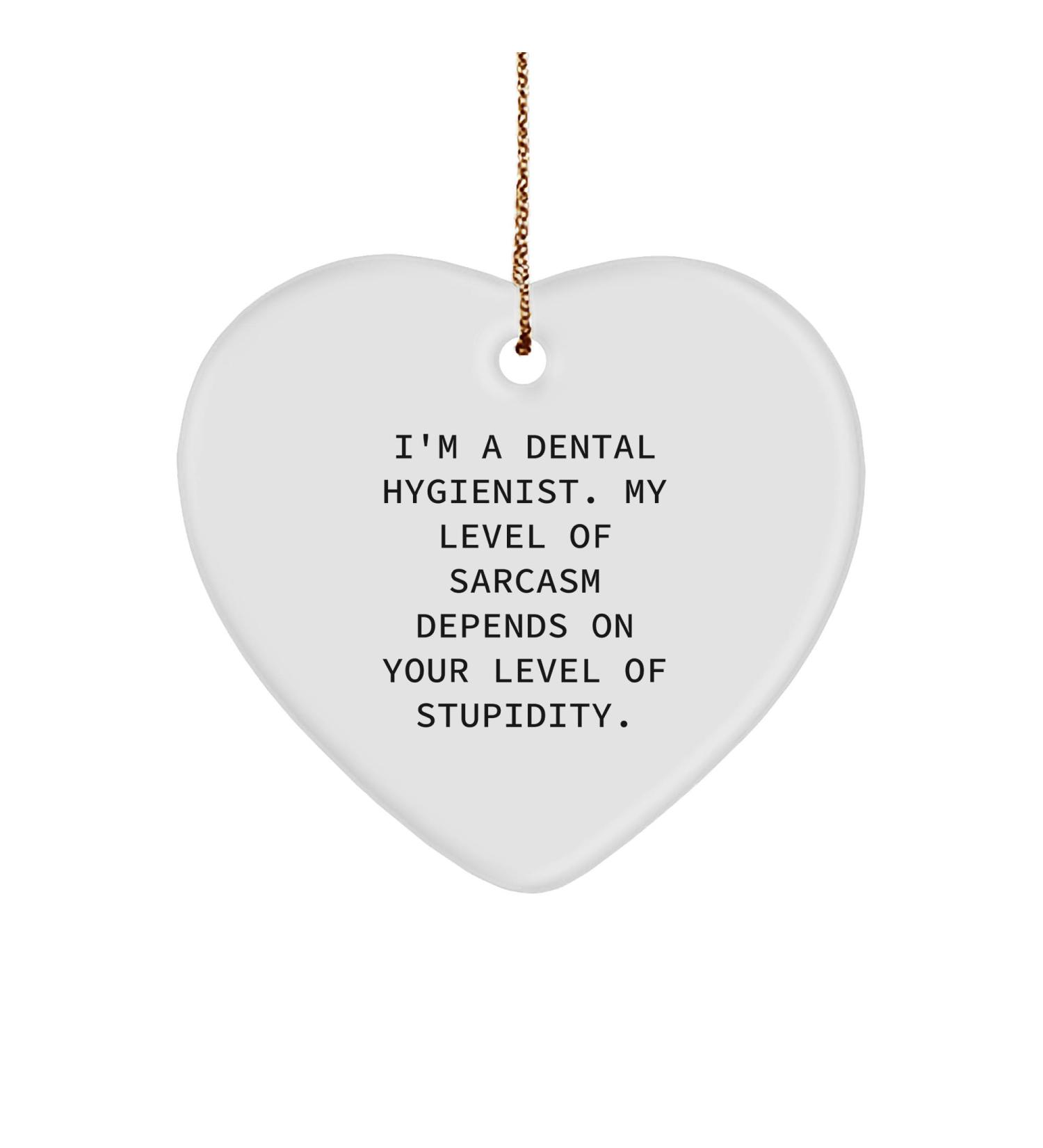 Dental Hygienist Gifts Funny Heart Ornament 'I'm A Dental Hygienist. My Level of Sarcasm Depends On Your Level of Stupidity.' Christmas Unique Gifts from Friends to Men Women Coworkers Family