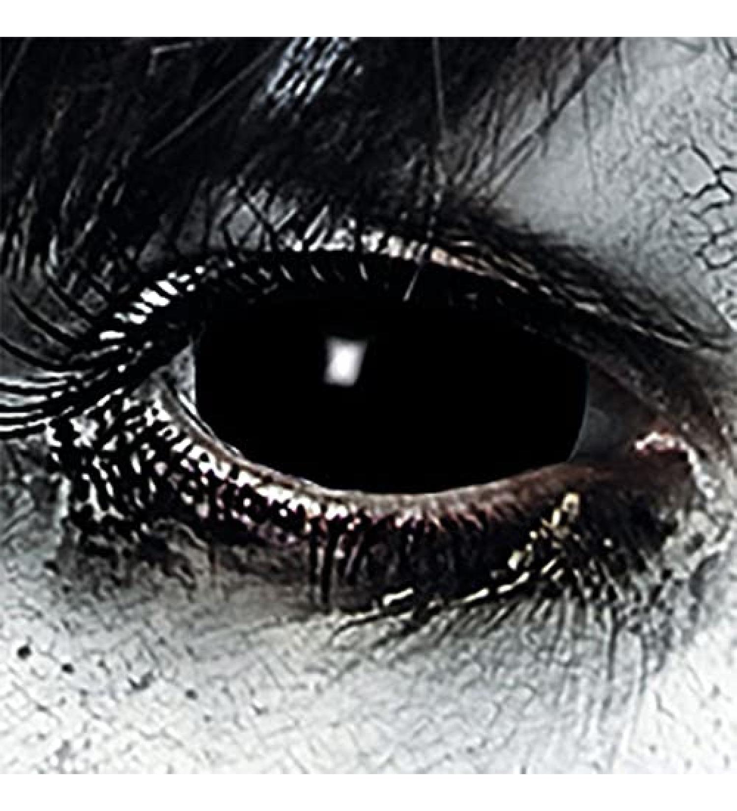 Leo Eyes Black Sclera Contacts - 1 Pair D-22mm for Halloween Cosplay & LARP - Zombie & Vampire Effects - Buy Online on GoSupps.com