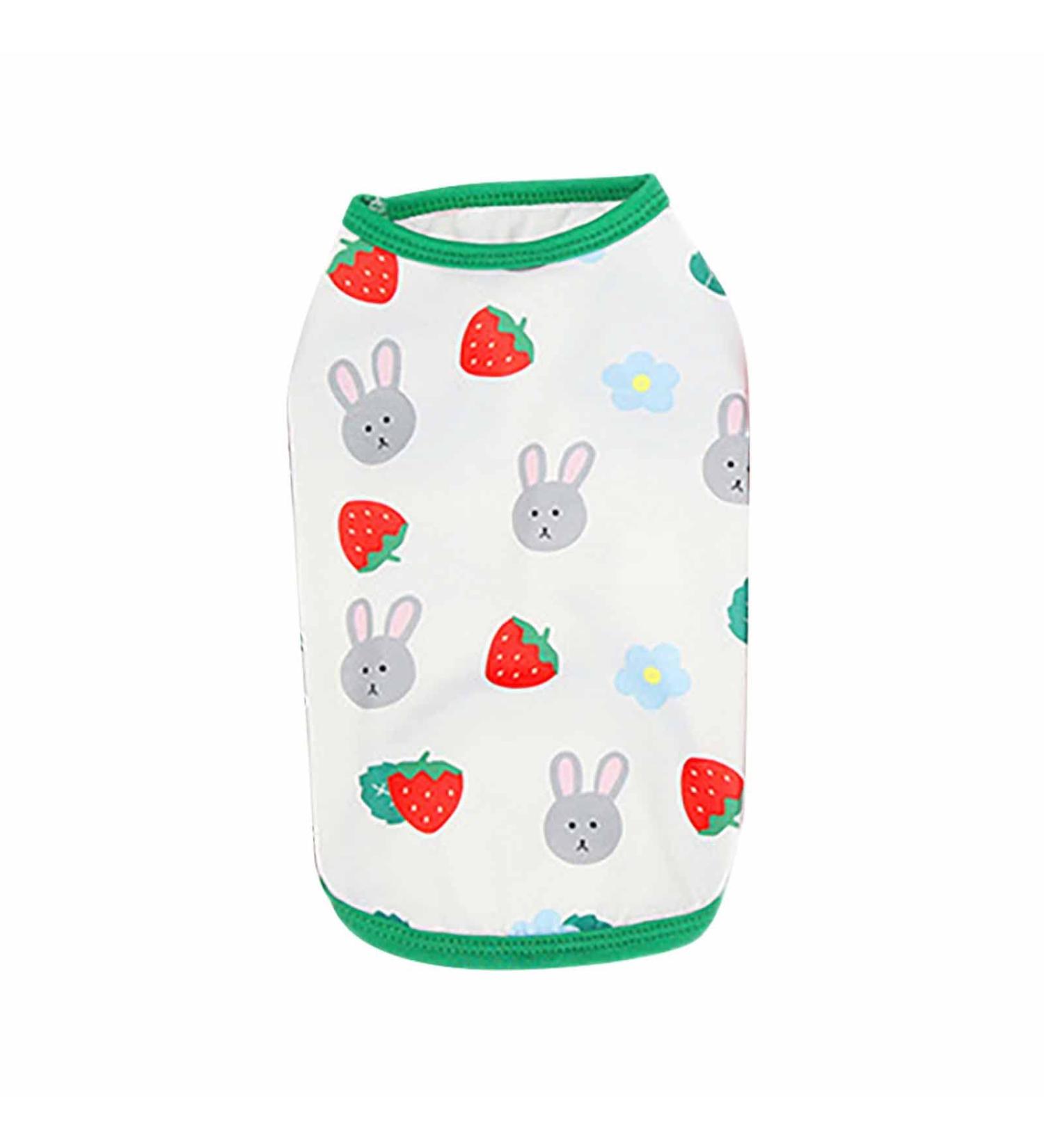 Buy AMAONE XXL Dog Coat for Chihuahua - Leopard Bowknot Knitted Jacket for Small Dogs - Winter Pet Clothing in Mint Green - Buy Online on GoSupps.com