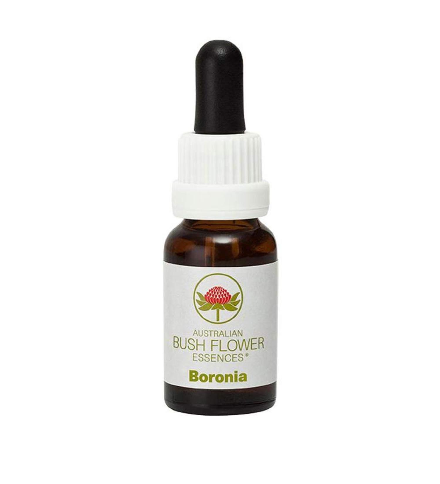 Bush Flower - Boronia 15ml - Floral Essence