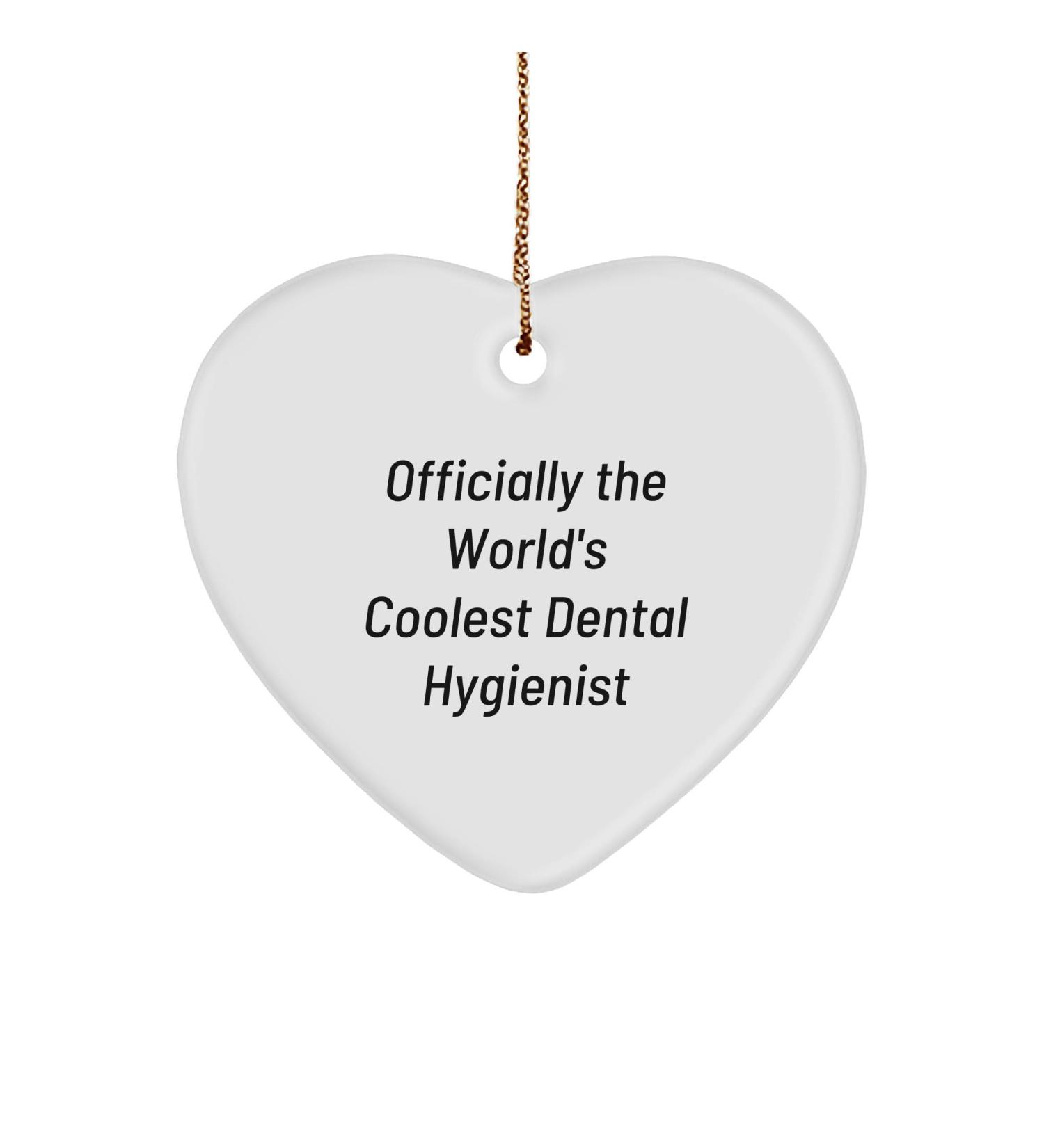 Officially The World's Coolest Dental Hygienist Funny Heart Ornament Gifts for Her Gifts from Family to Dental Hygienist Colleagues on Christmas