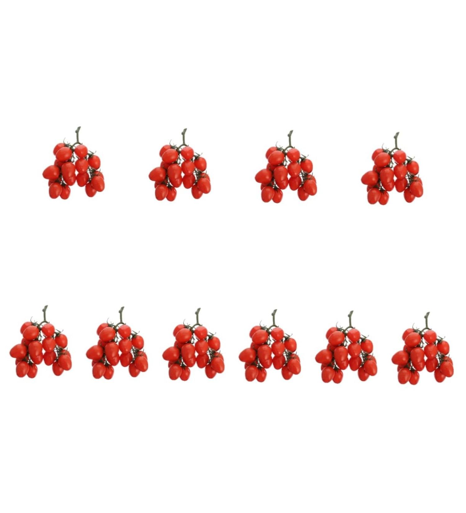 HOMSFOU 10pcs Vine Tomatoes Fake Tomato Decor Christmas Decorations Decorative Artificial Fruits Fake Fruit Home Wedding Decor Artificial Tomato Dinner Party Red Tomato Plastic Miniature Redx10pcs 12X20CMx10pcs - Buy Online on GoSupps.com