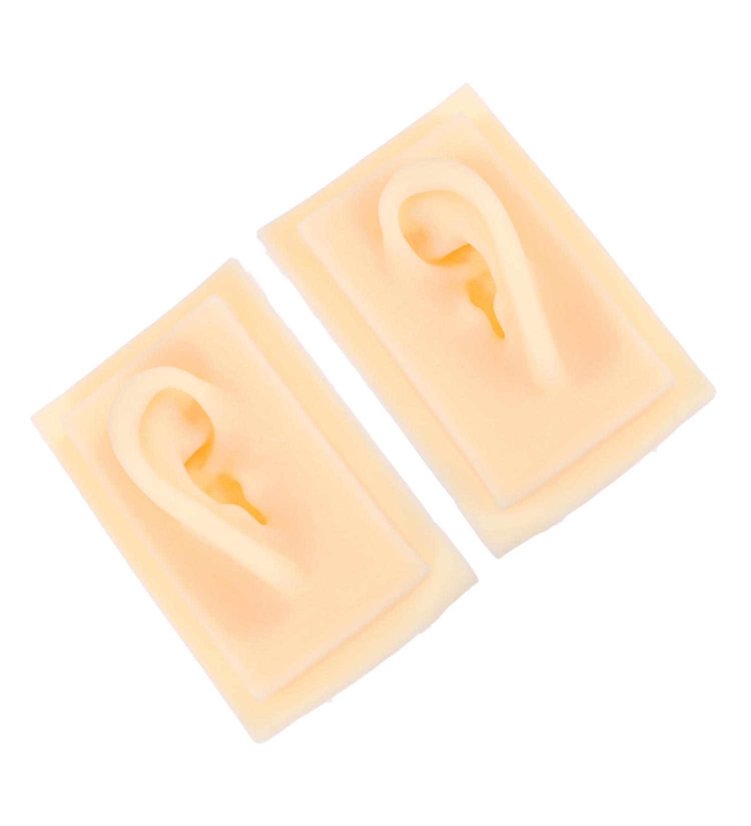 minkissy 1pair Simulation Ear Model Realistic Soft Silicone Teaching Tool for Ear Anatomy Presentation for Students and Professionals and Reusable Design for Educational Purposes 9.5X6.5X4.5CM As Shown - Buy Online on GoSupps.com