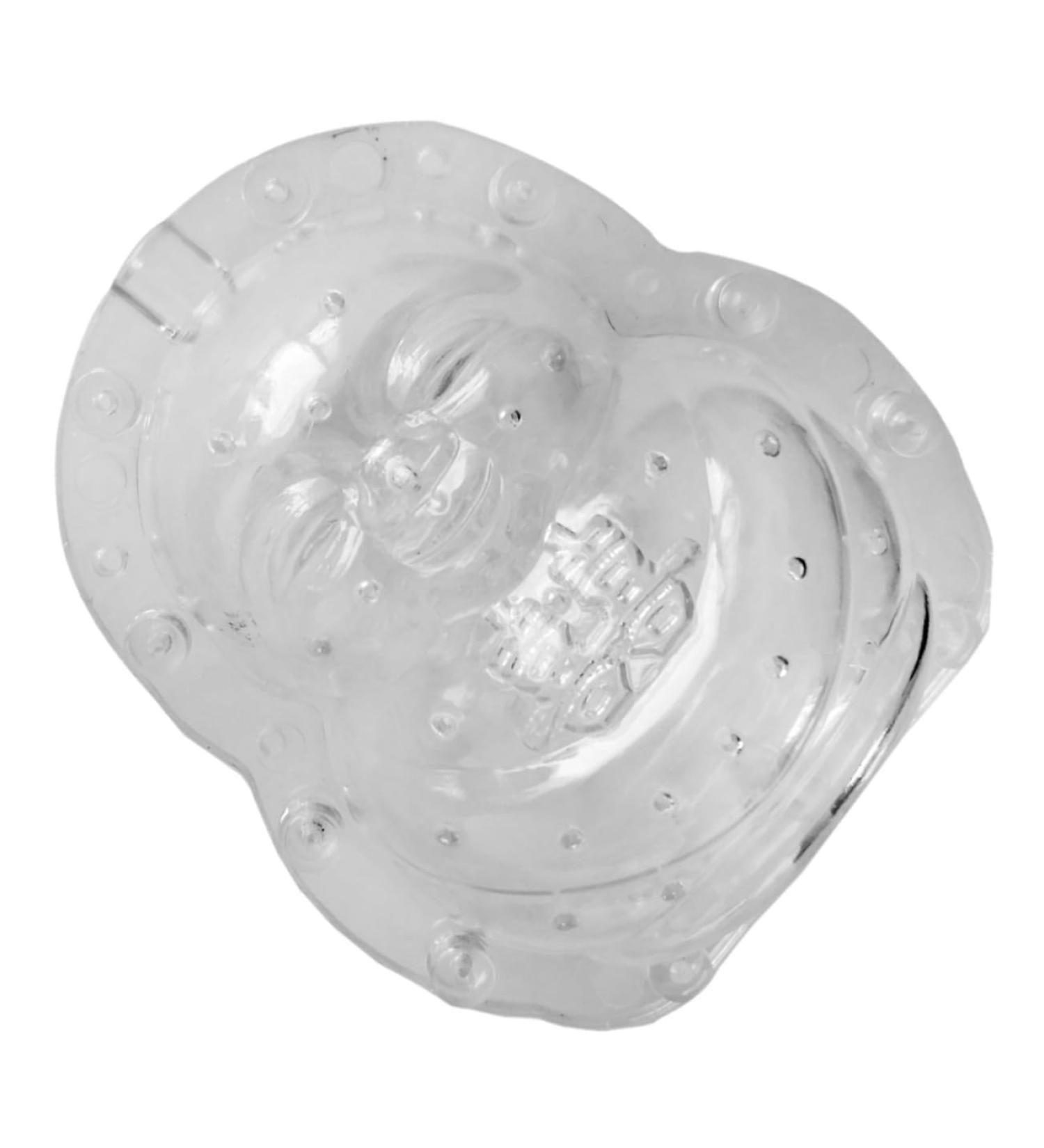 Ginseng Vegetable DIY Molds Pumpkin Shaping Mold Shaper Mold Fruit Forming Machine Stereotypes - Buy Online on GoSupps.com