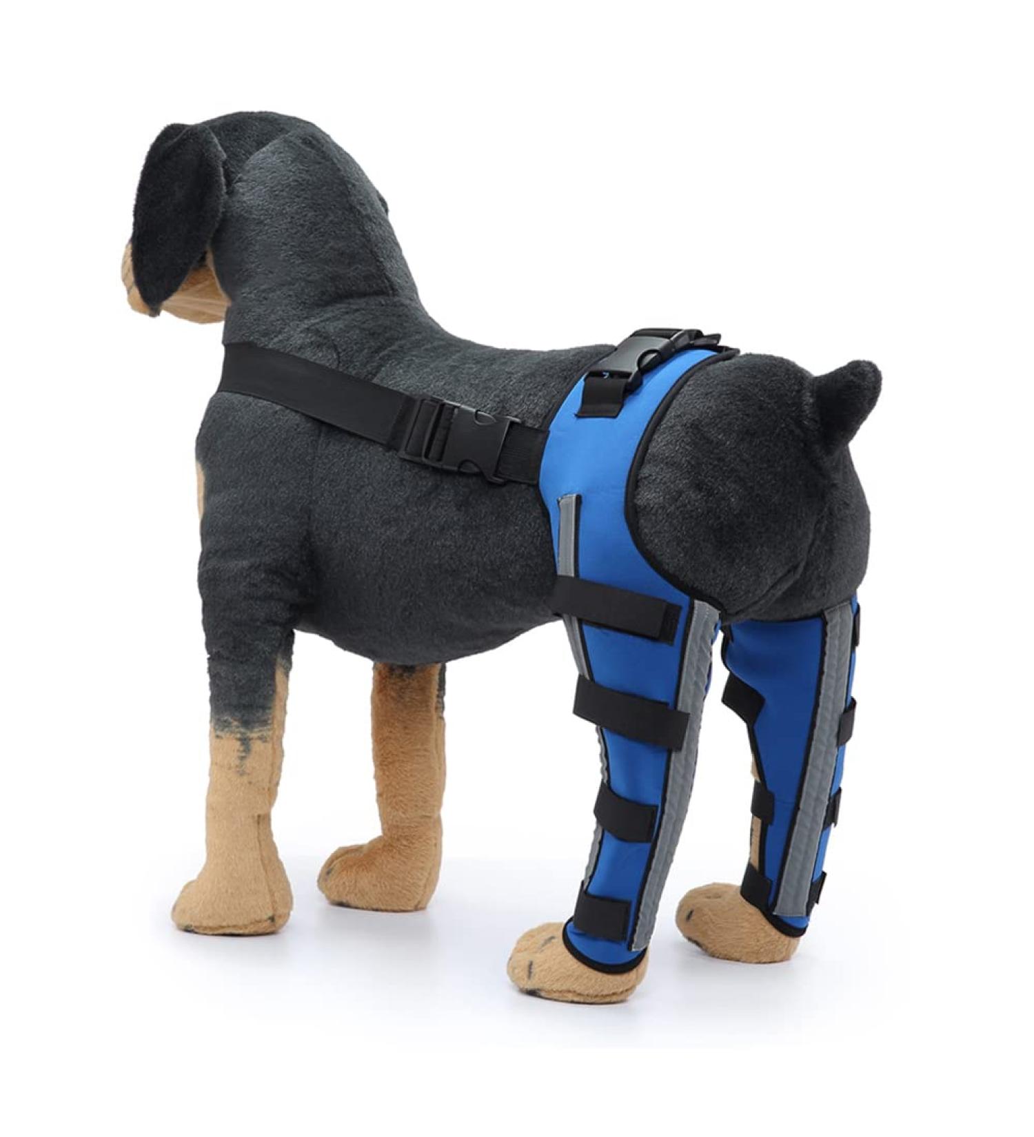 Adjustable Knee Brace for Dogs Pet Hind Legs Protector for CCL Injury Patella Luxation Arthritis Joint Pain Dog Leg Braces for Back Leg|Blue (XS) - Buy Online on GoSupps.com
