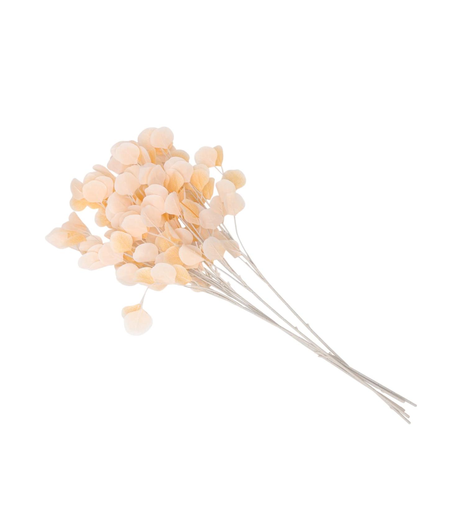 Zerodeko Apple Eucalyptus Bunch Eucalyptus Dried Flowers Flower Vase Dried Real Eucalyptus Branches Arreglos Naturales Wedding Ceremony Decorations Home D cor Spray Plant - Buy Online on GoSupps.com