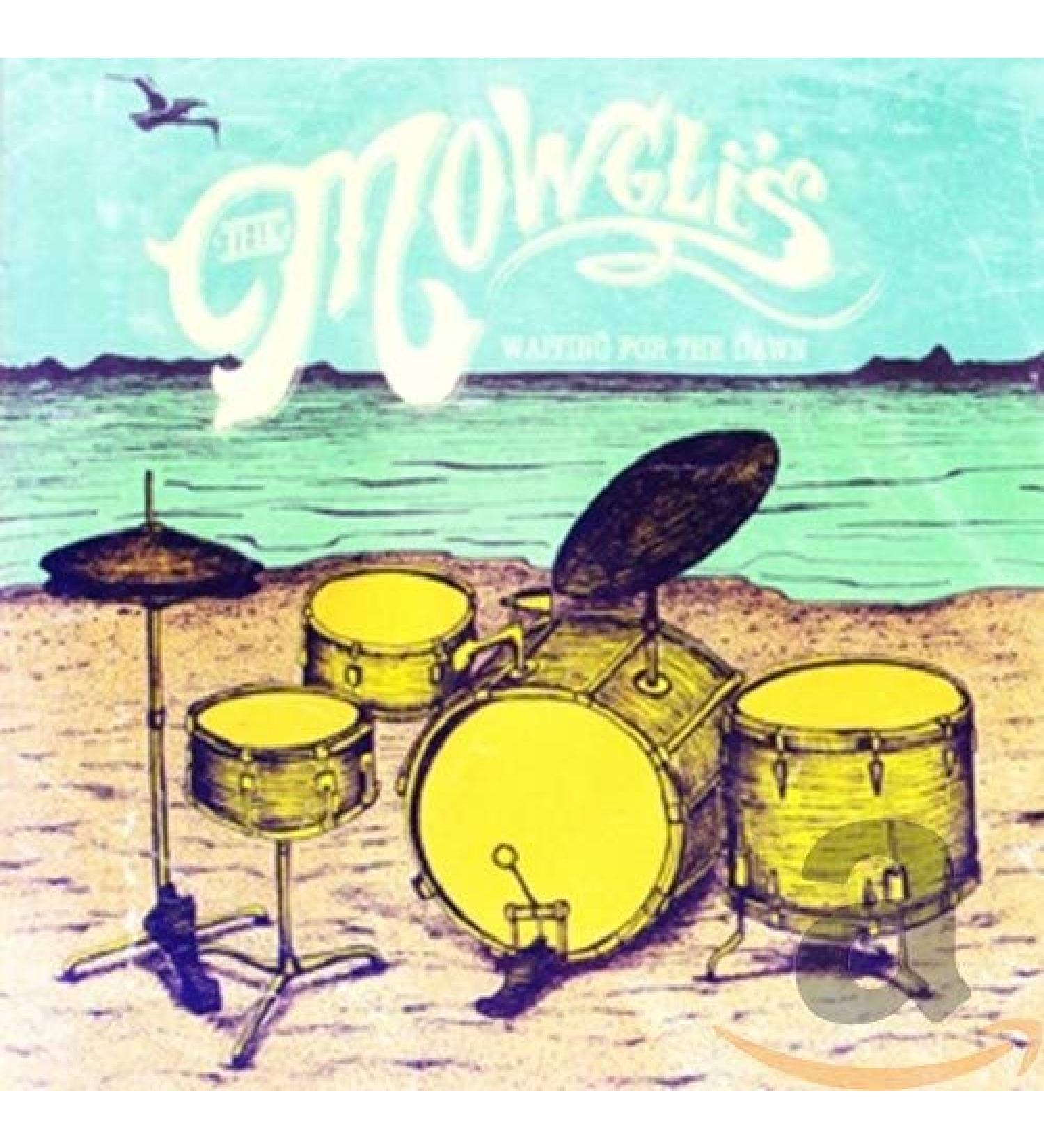 Waiting For The Dawn