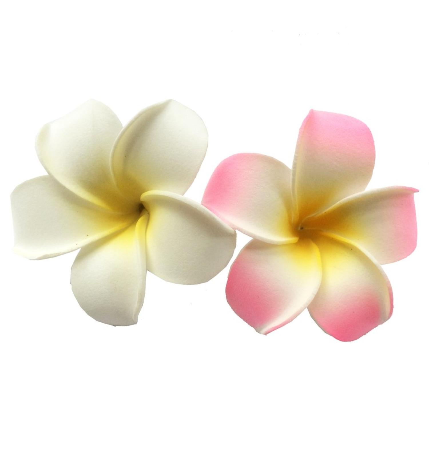 2 PCS Hawaiian Frangipani Plumeria Foam Head Flower Hair Clip - White + Pink - Buy Online on GoSupps.com