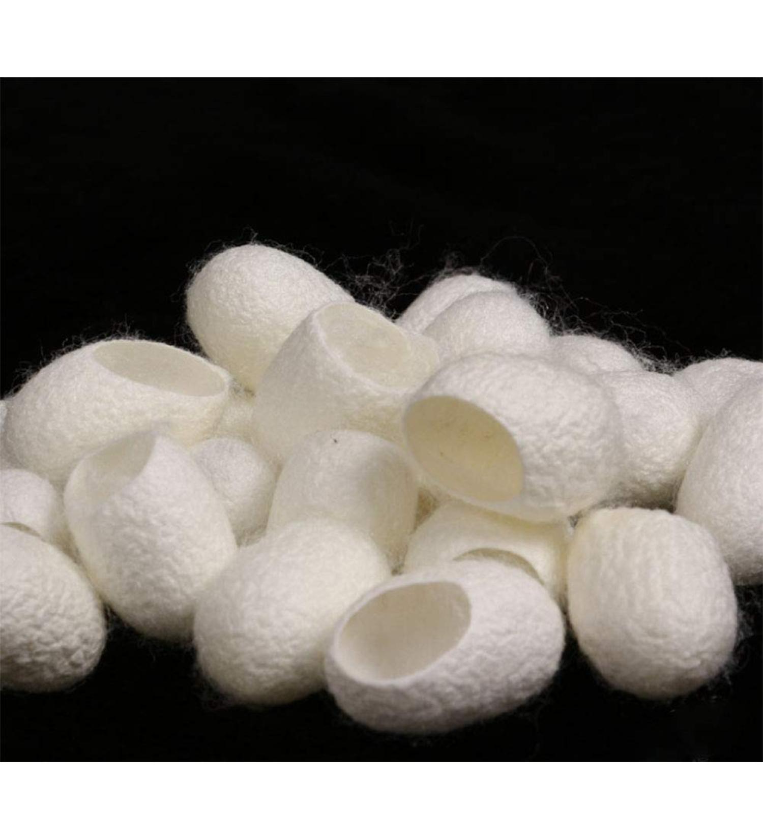 WOIWO 20 PCS Natural Facial Cleanser Set - Silk Ball & Cocoon Shell for Radiant Skin | International Shipping Available - Buy Online on GoSupps.com