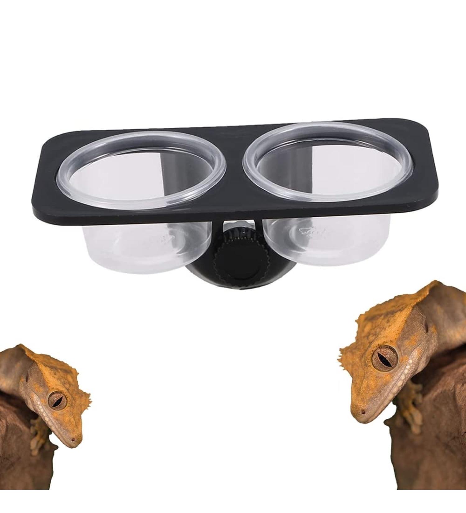 Feeding Bowl Food Water Dish Drinking Feeder Reptile Bowl Detachable Reptile Feeder with Double Bowls Reptile Food Bowl Water Food Dish for Reptile(Screw type) - Buy Online on GoSupps.com