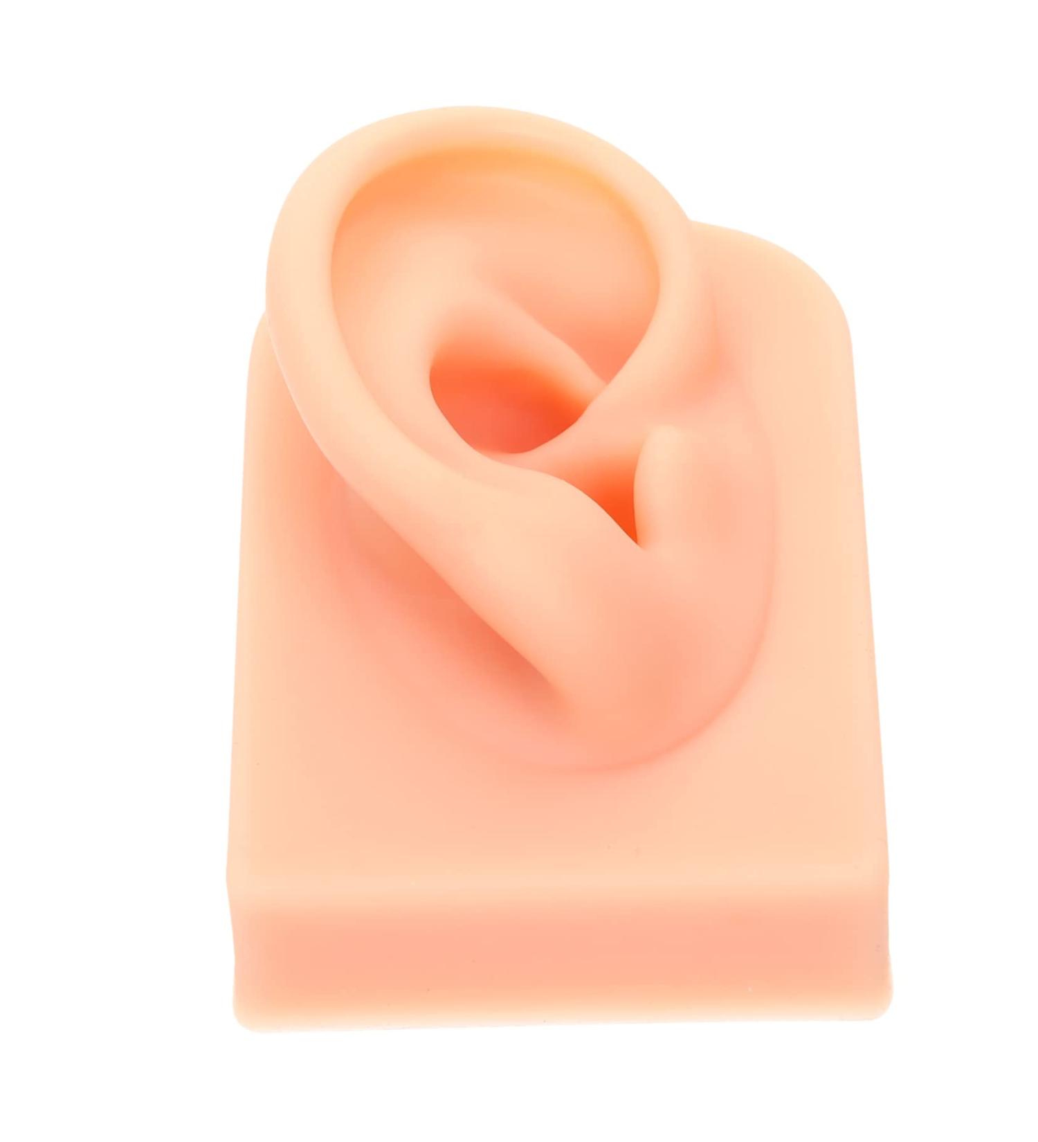 ULTECHNOVO Simulation Ear Model for Earring Display Practice - Khaki Silica Gel Artificial Ear Piercing Silicone Body Parts - Buy Online on GoSupps.com