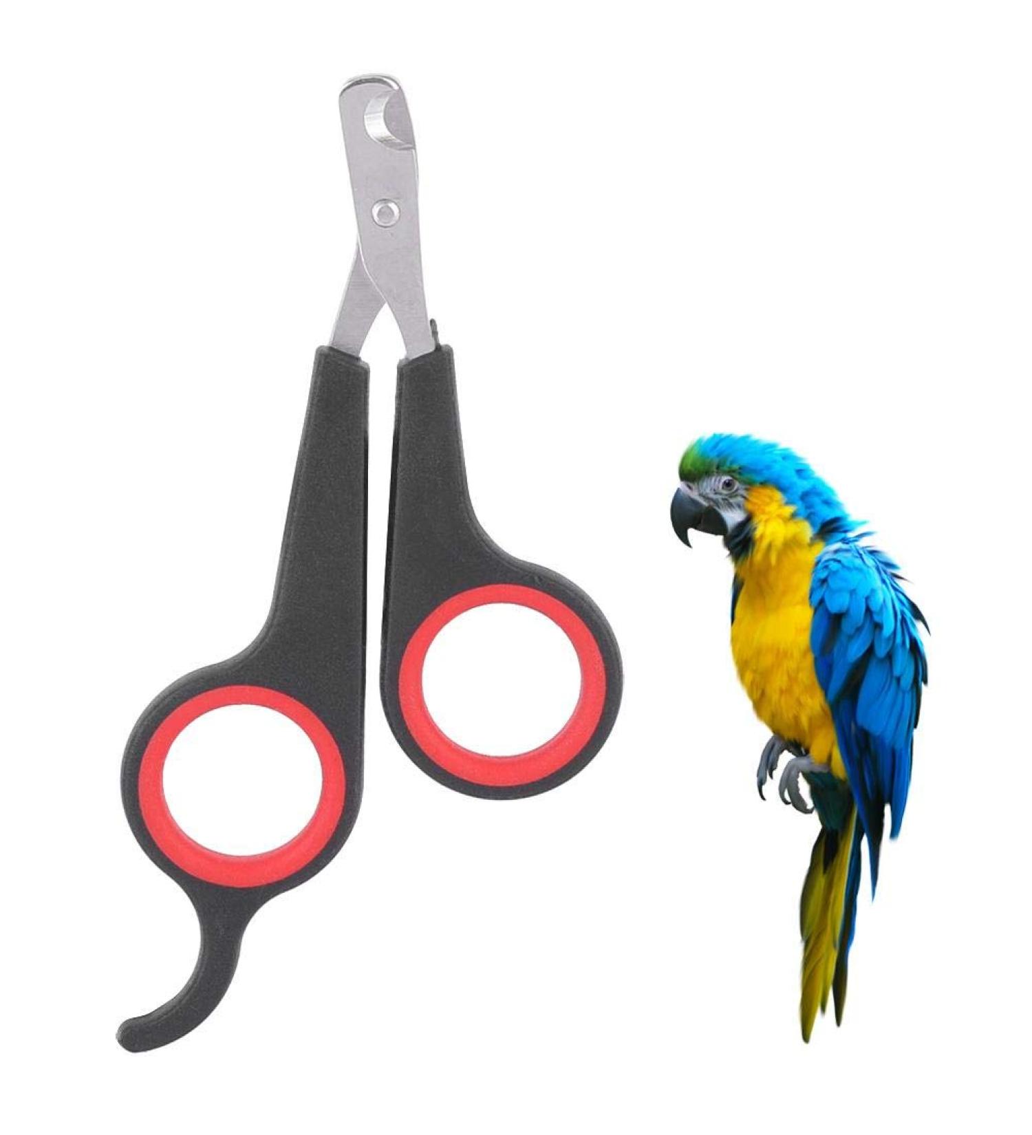 Parrot Nail Clippers - Pet Nail Clippers for Dogs, Cats, Rabbits & Birds - Buy Online on GoSupps.com