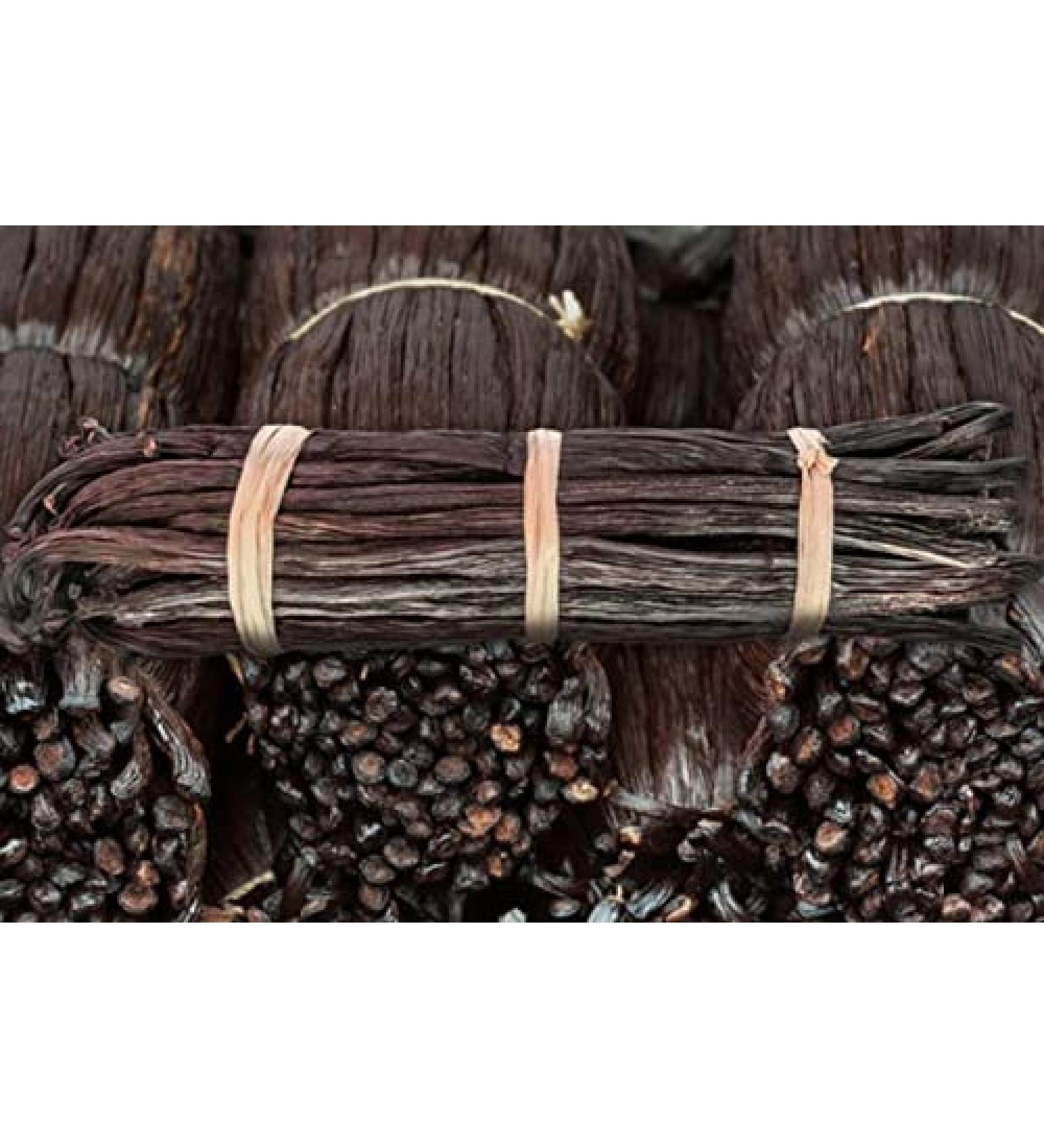 Gousses de Vanille Bourbon des Comores taille XL x5