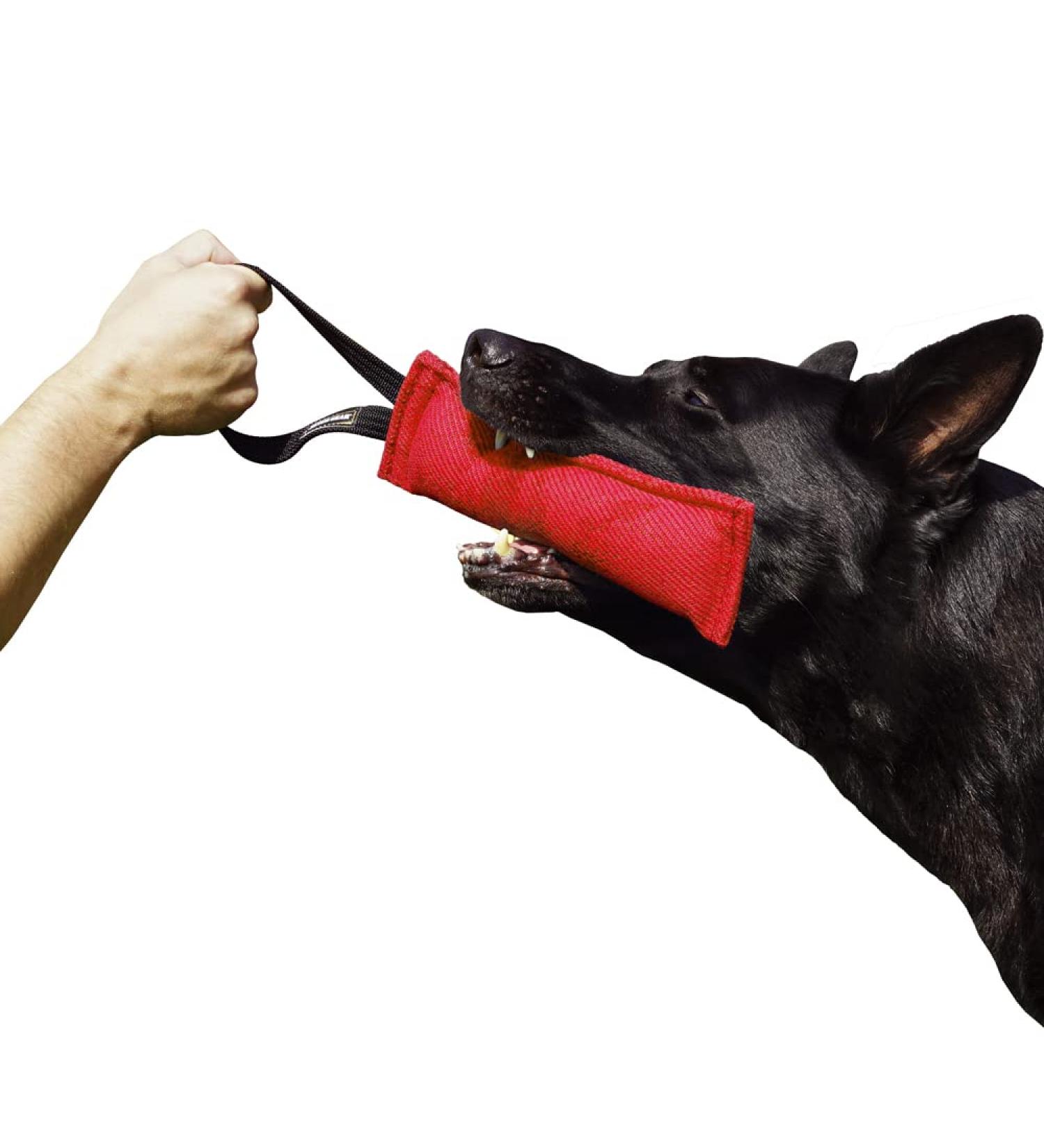 Dingo Gear Cotton Nylon Bite Sausage for Dog Training | IGP IPO Obedience & Protection | 28x7 cm with 1 Handle - Red S00062 - Buy Online on GoSupps.com