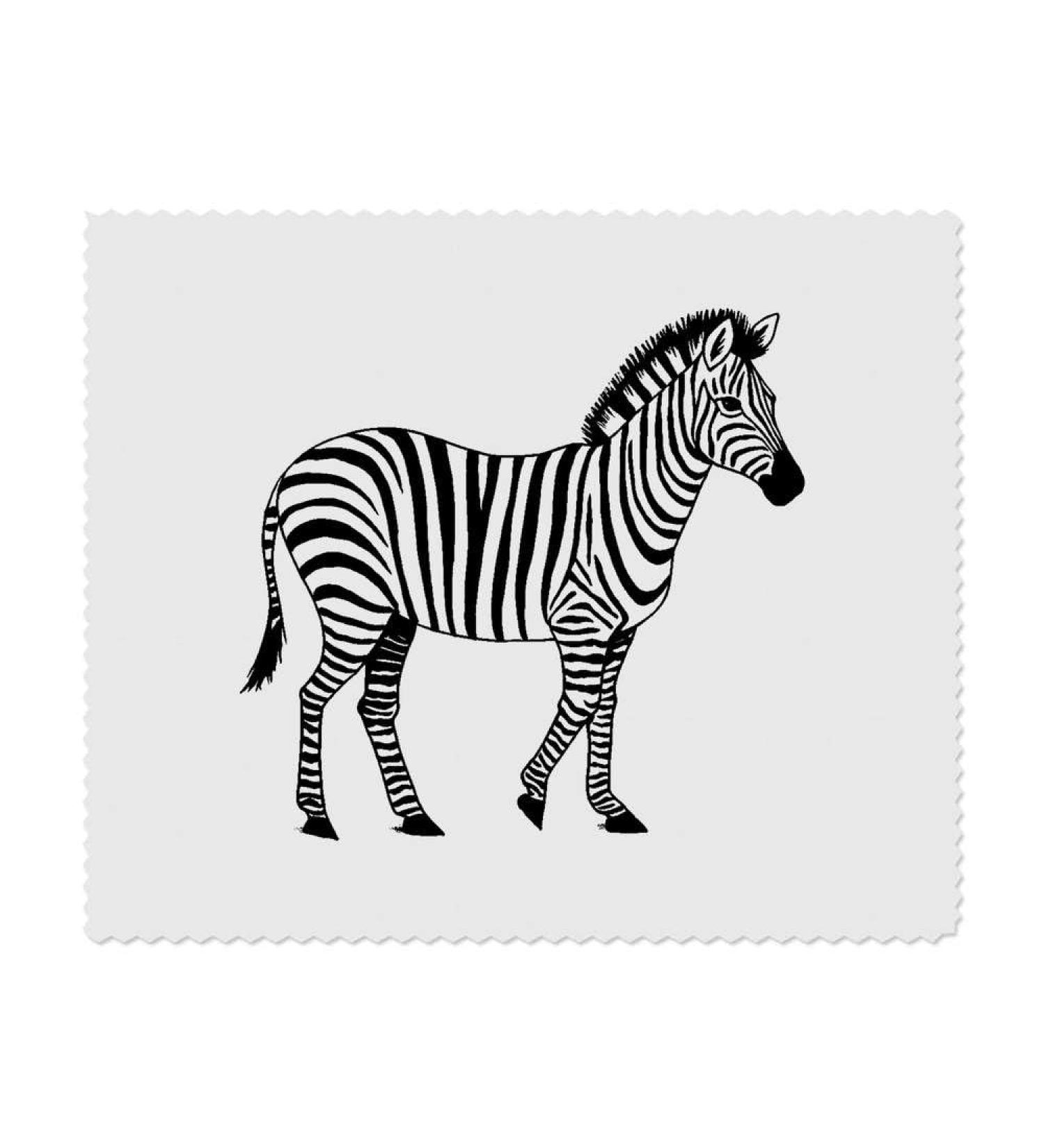 Zebra Microfiber Lens/Glasses Cleaning Cloths - 2 Pack | International Shipping Available - Buy Online on GoSupps.com