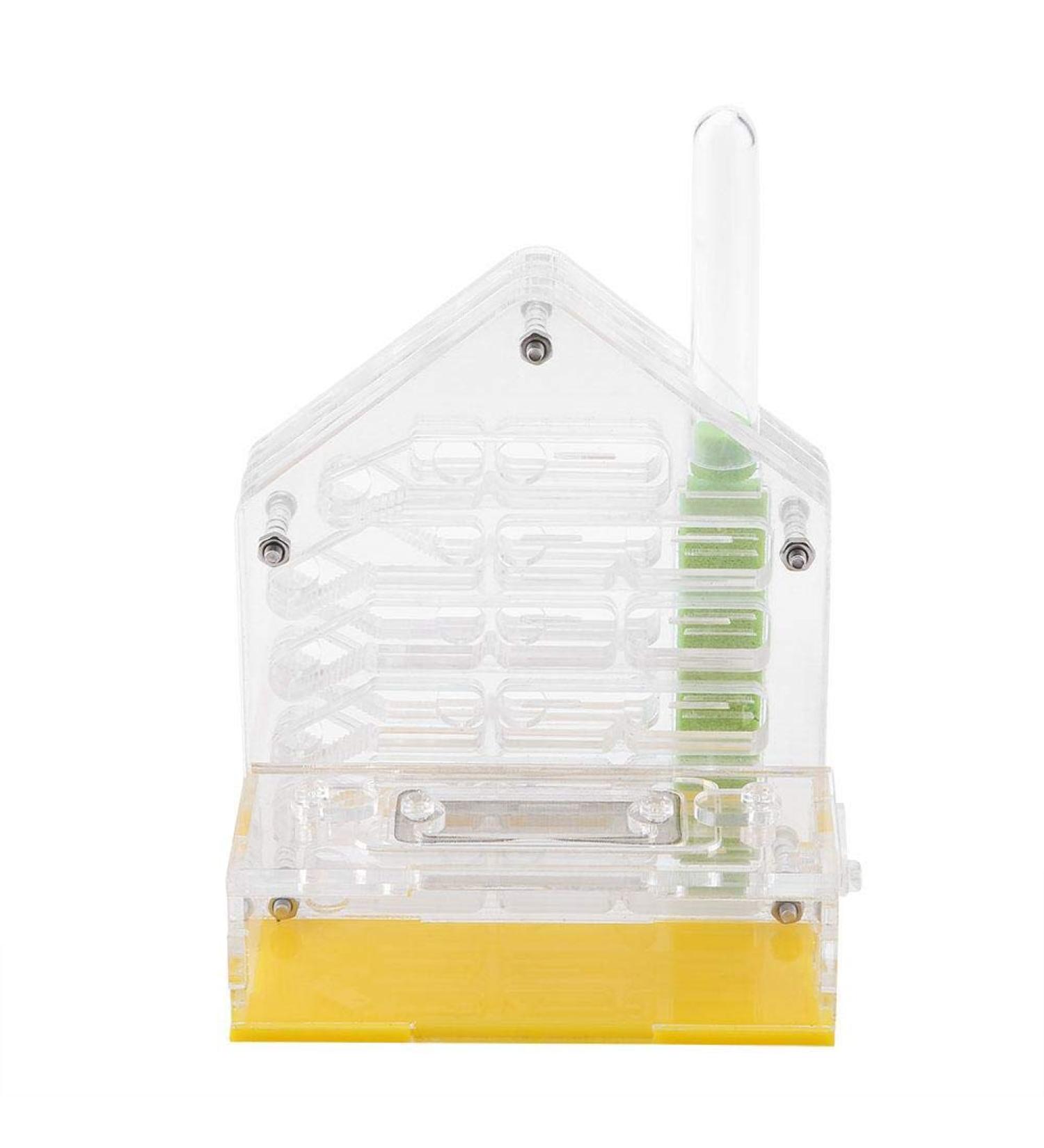 Ant Nest Acrylic Ant Nest Villa Farm House Formicarium Educational And Learning Nature Science Kit For Ant Feeding - Buy Online on GoSupps.com